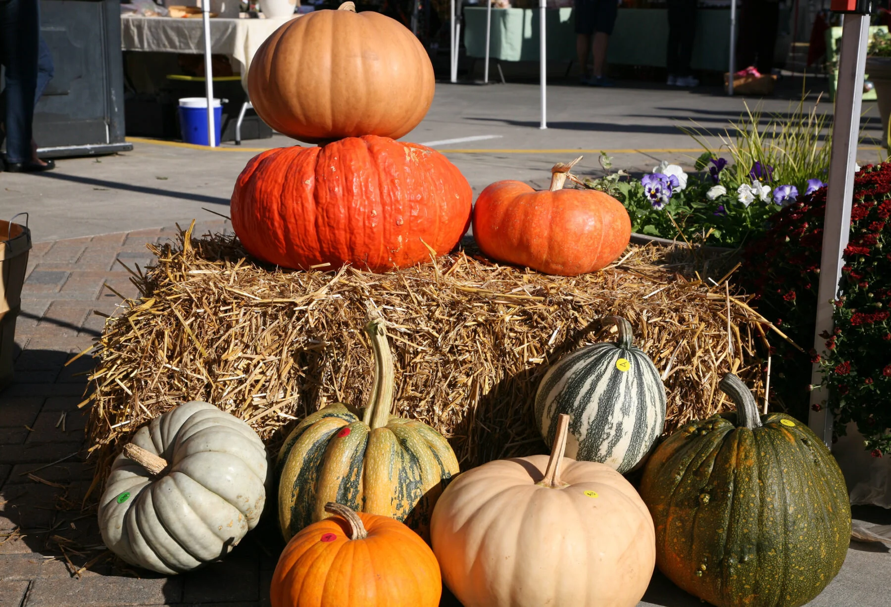 Fall Bucket List in North Hills