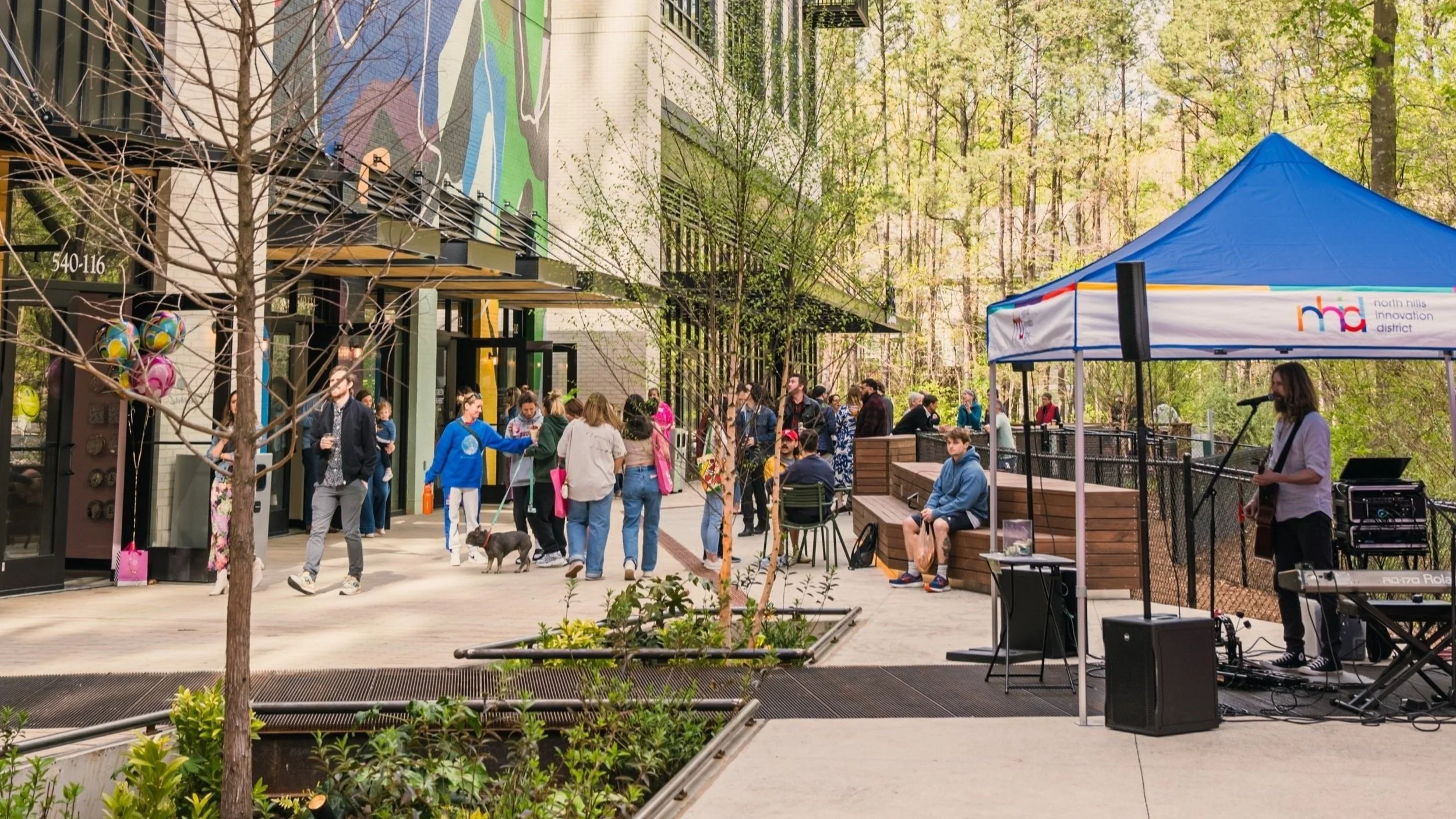 One Year in the Alley - North Hills