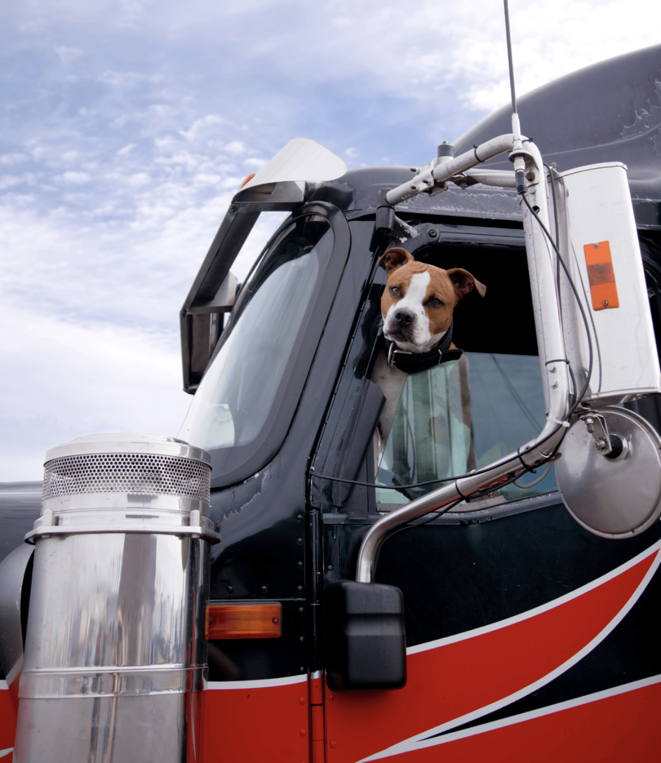 Fur-Babies on Board: Gratitude for the Veterinarians Who Care for Truckers on the Road