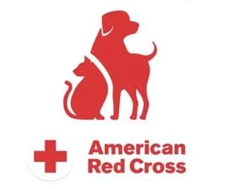 The Fur Baby First Aid Challenge: Would You Know What to Do?