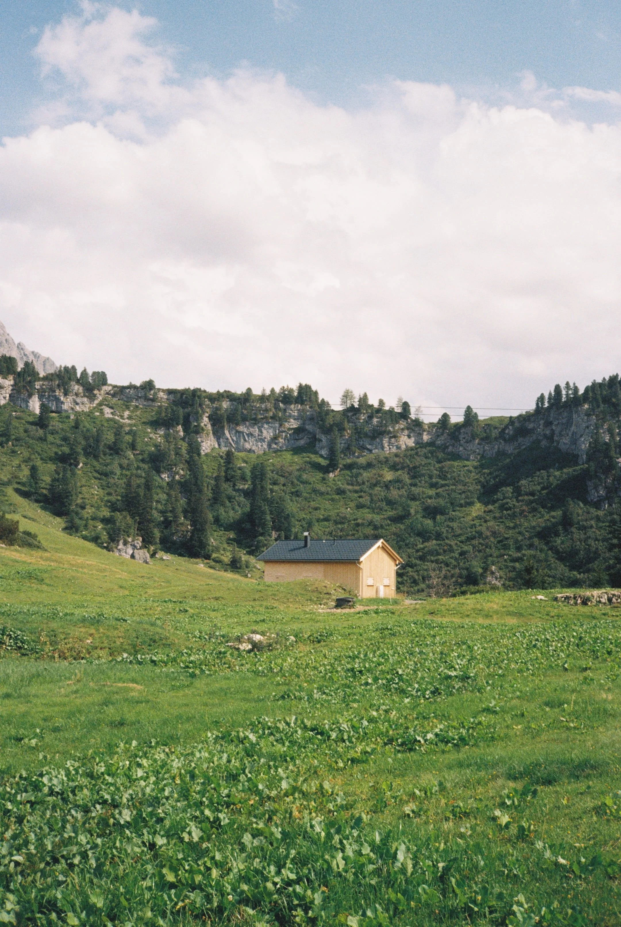 R1-01917-029A.jpg