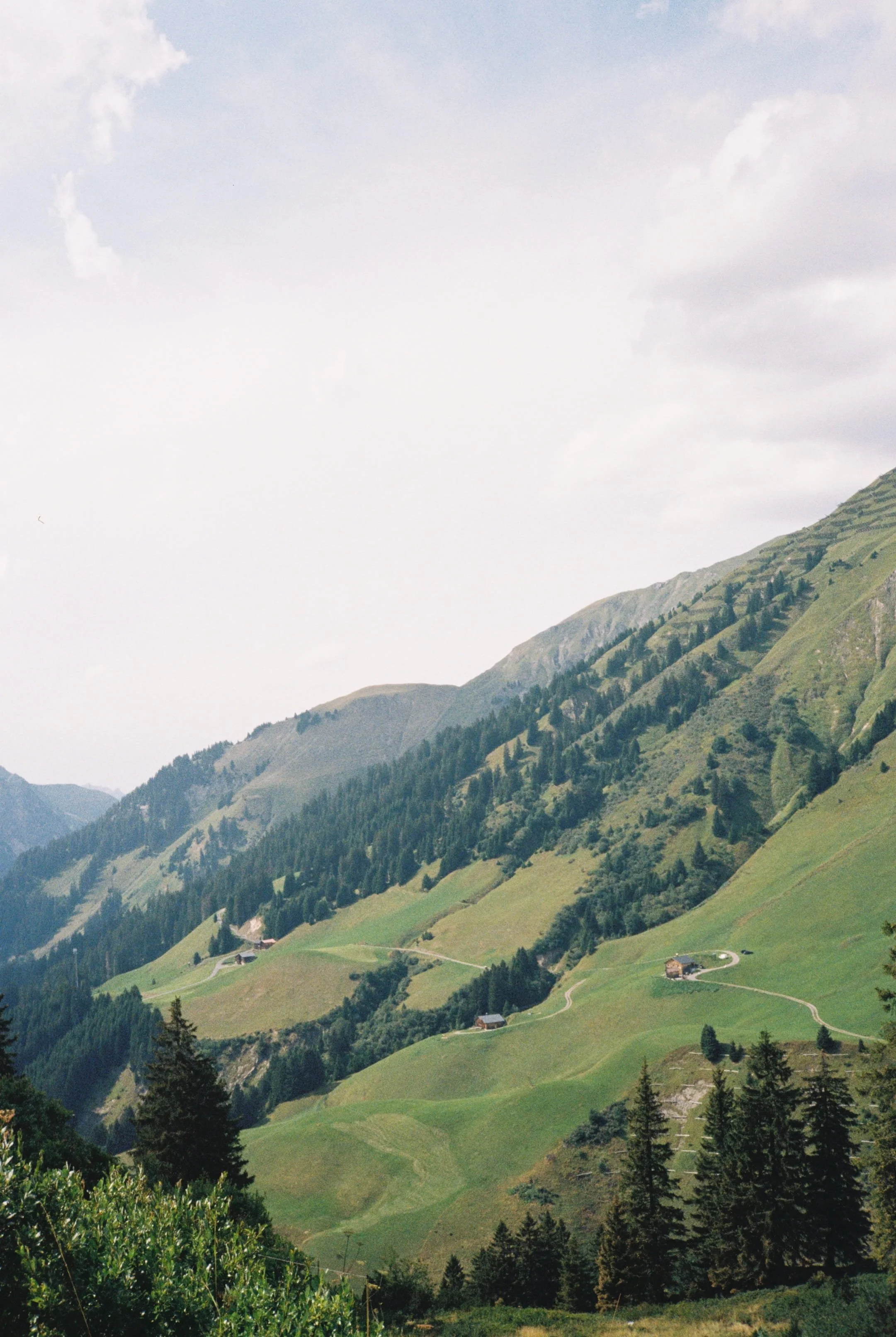 R1-01917-030A.jpg
