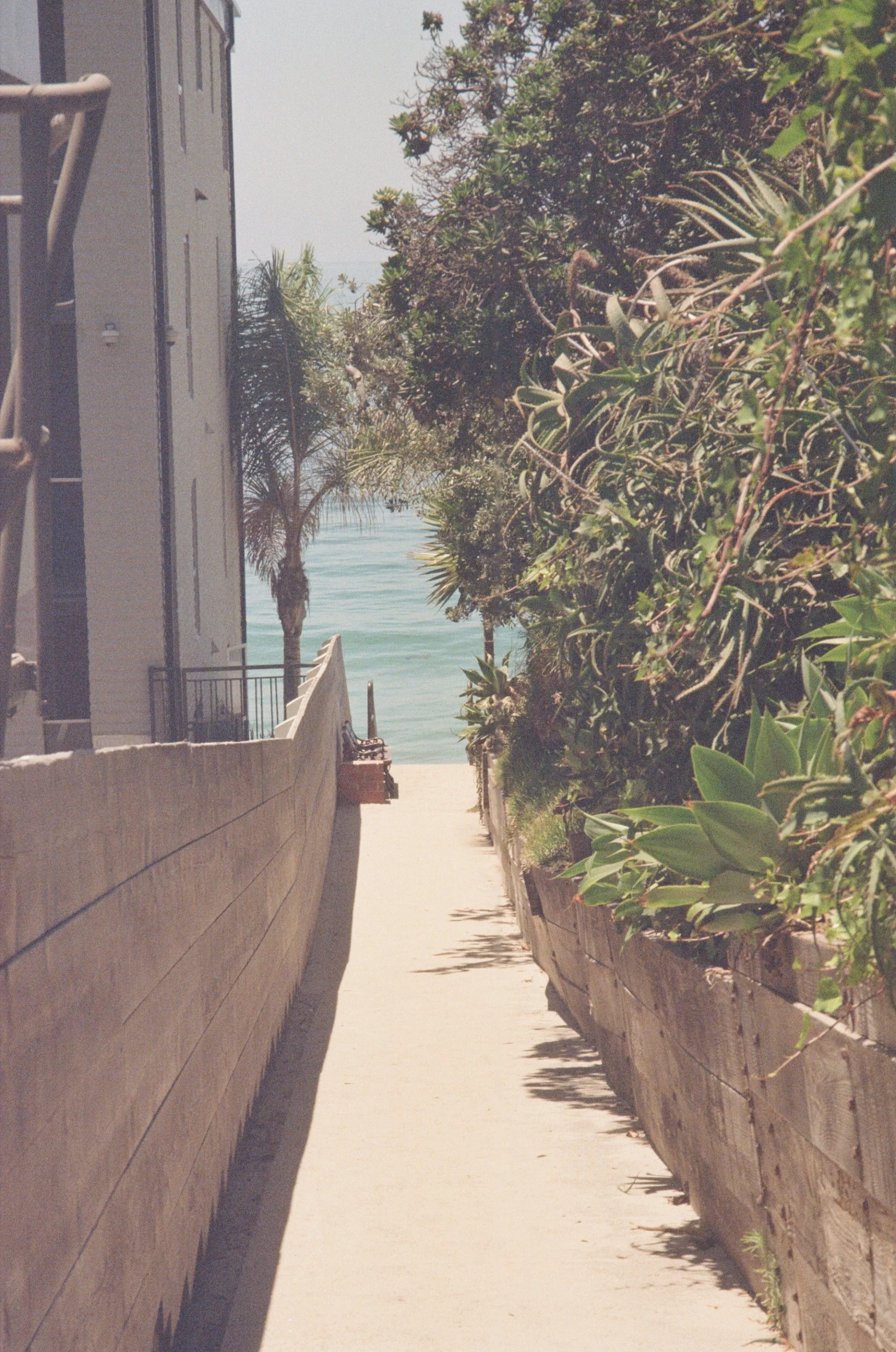 kodak_200_c_41_11052_97363_217193_000004720017-min.jpg