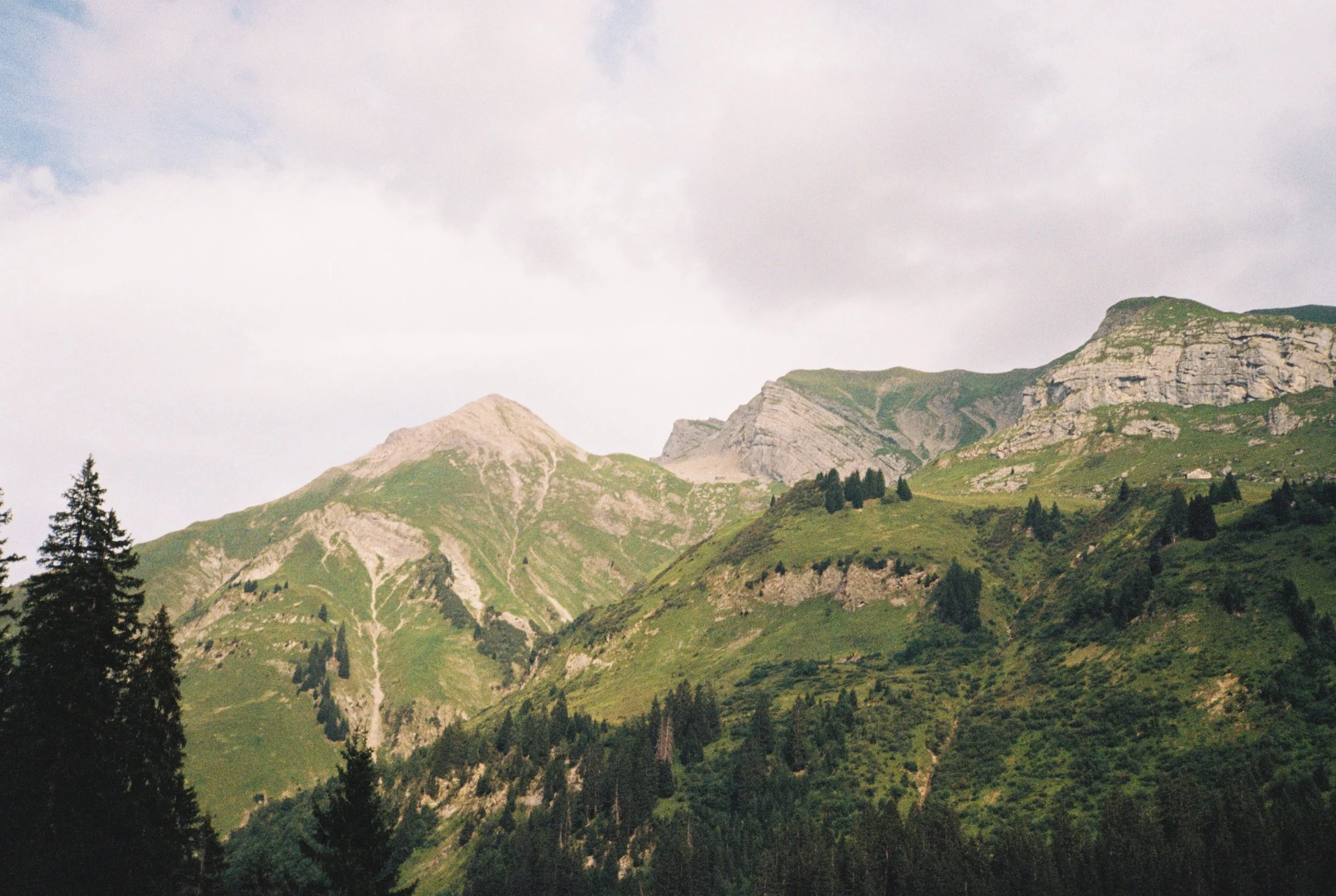 R1-01917-035A.jpg