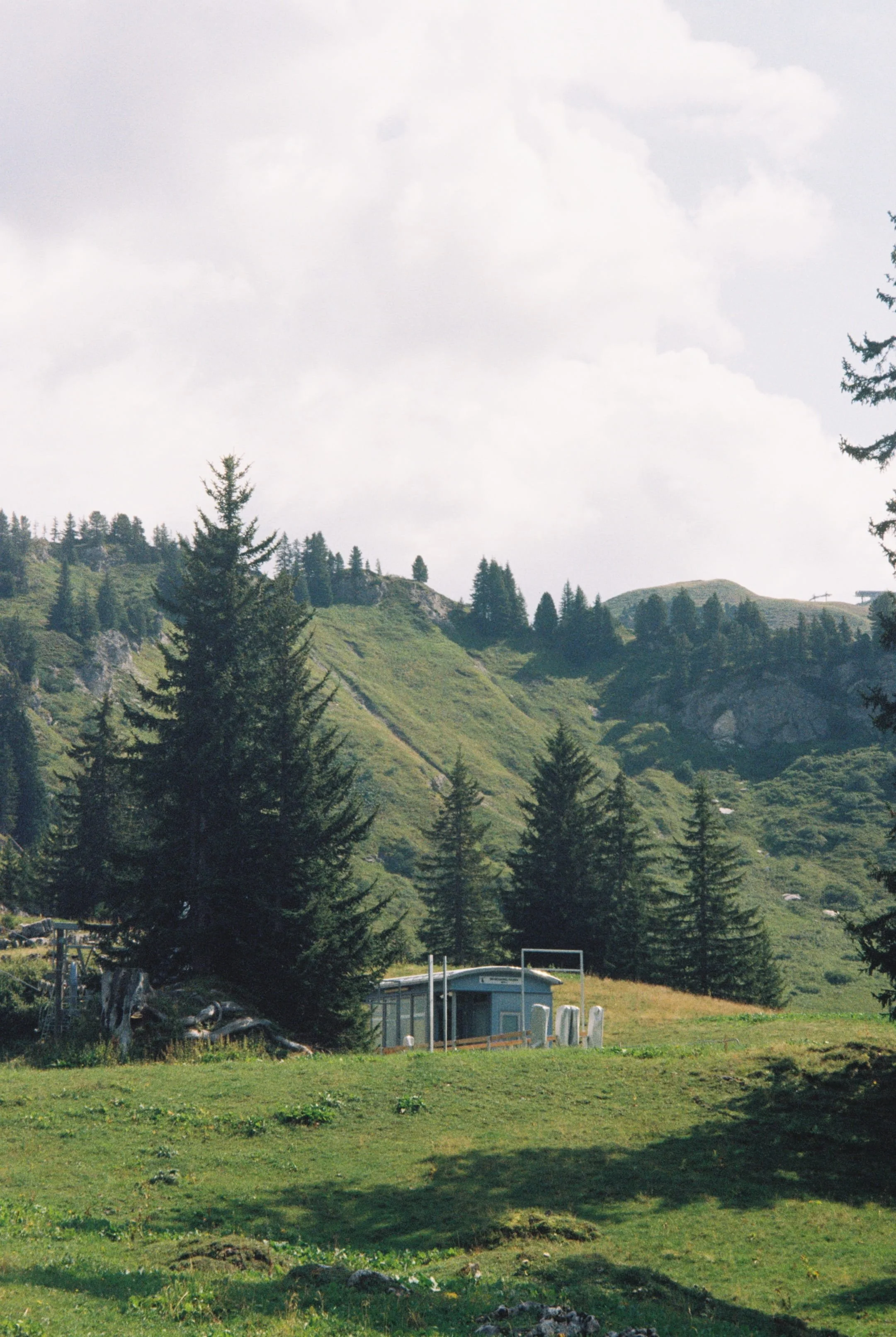 R1-01917-021A.jpg
