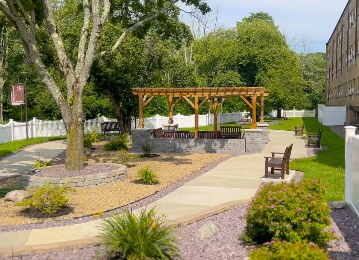 Landscaped walkway and pergola