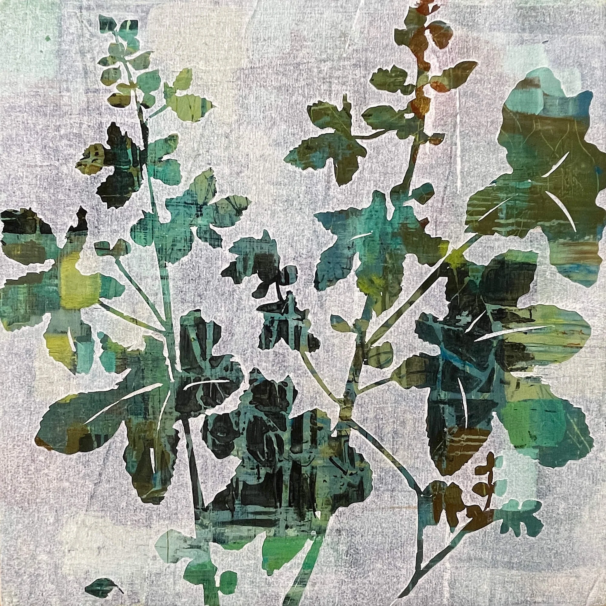 Green Hollyhocks 