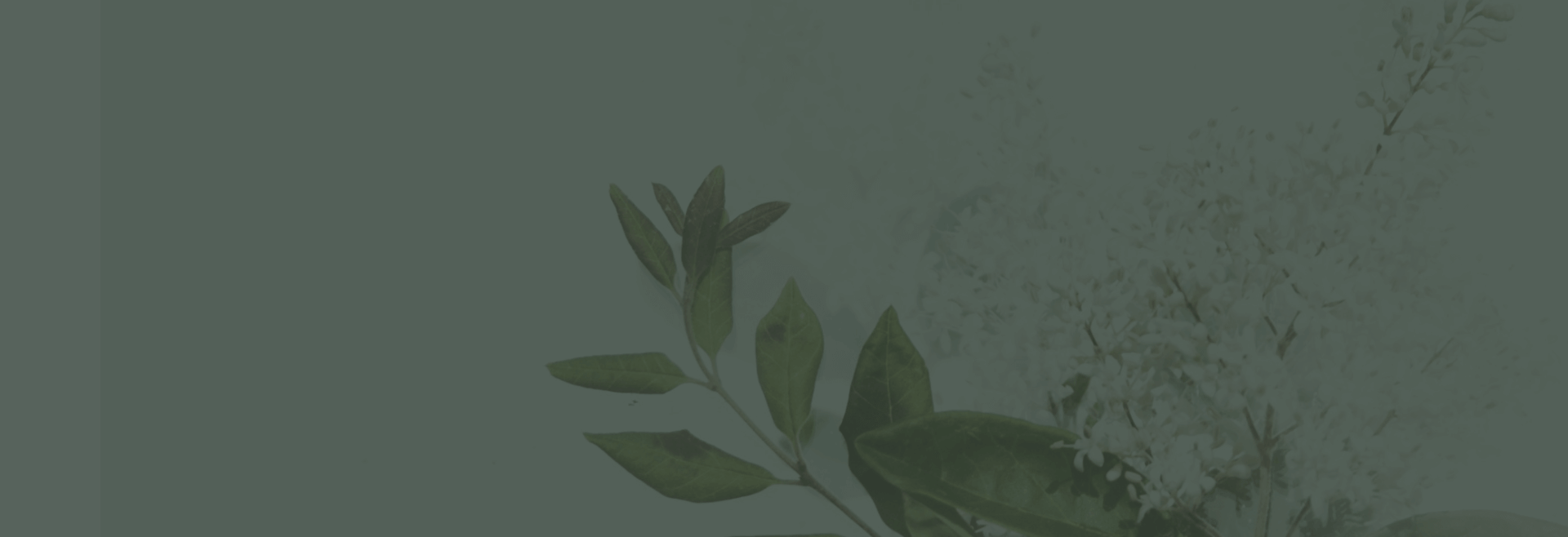 Telemedicine Services