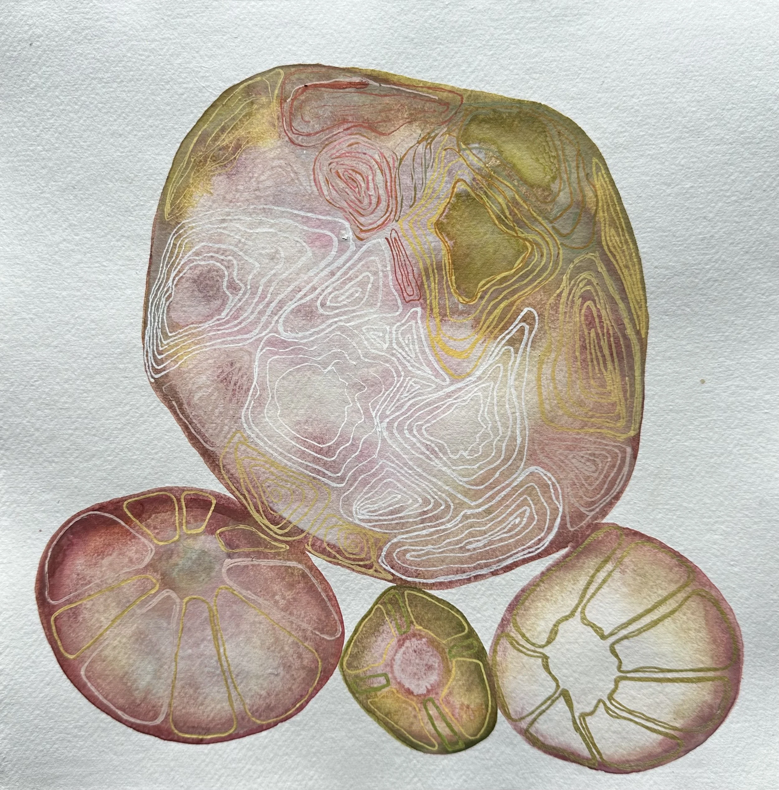 Abstract watercolor painting of concentric circles and organic shapes in muted colors