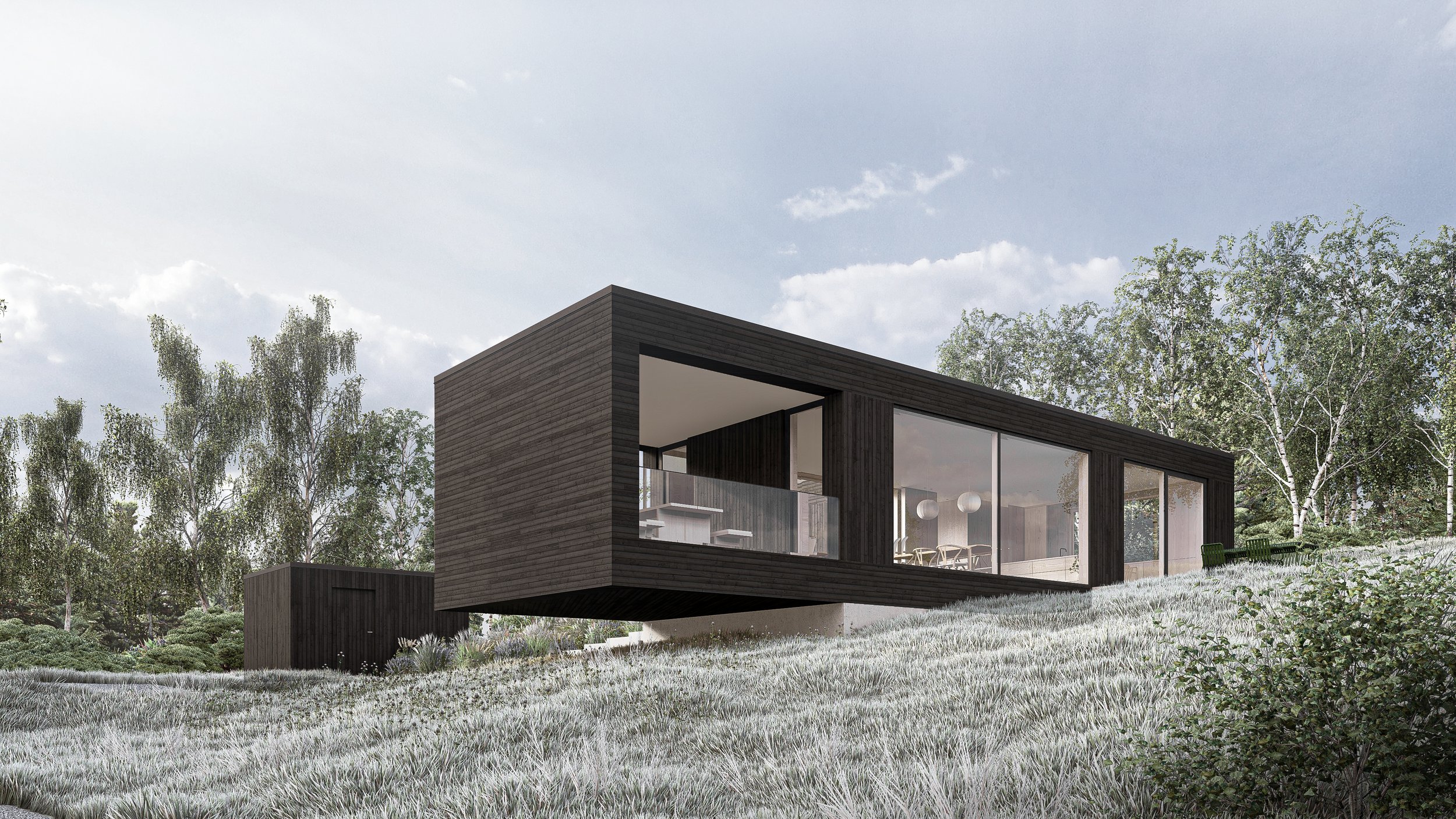 2024.02.10 Hill Side House - visualisering 01.jpg