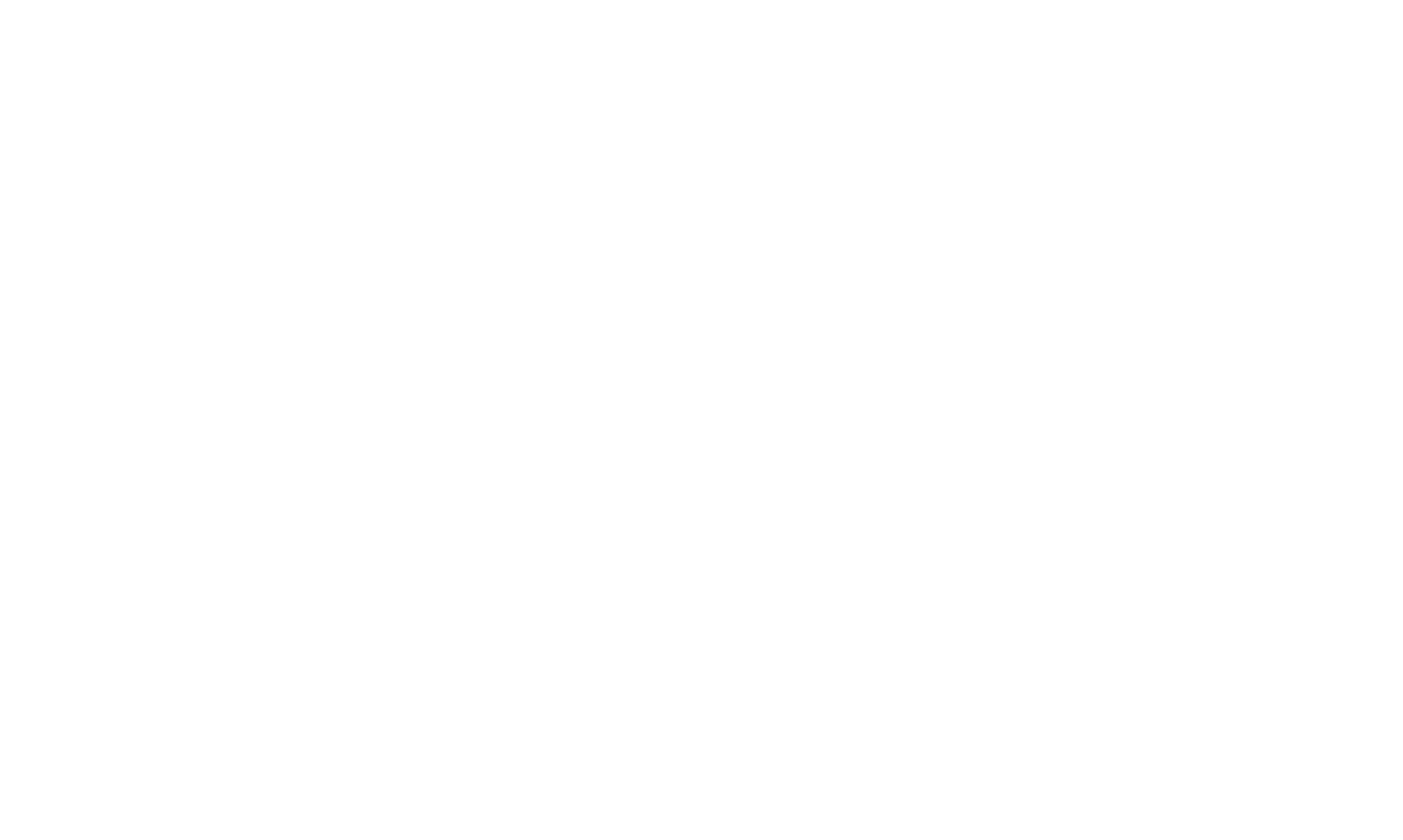 Black and white American flag with 13 stripes and a field of five-pointed stars.