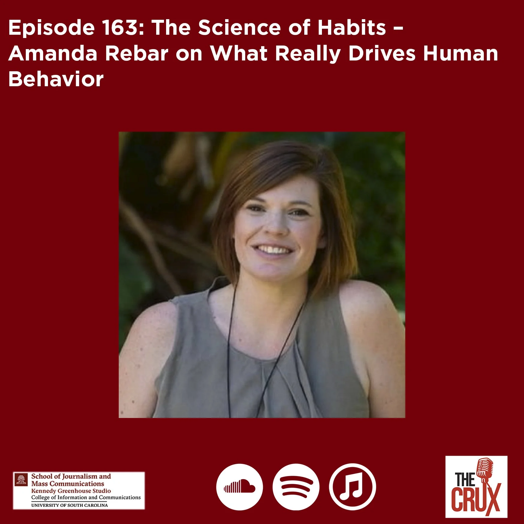 Episode 163: The Science of Habits – Amanda Rebar on What Really Drives Human Behavior (Copy)