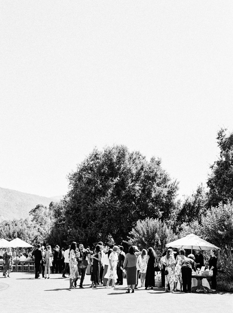 Holman Ranch Wedding BrittRenePhoto061.JPG