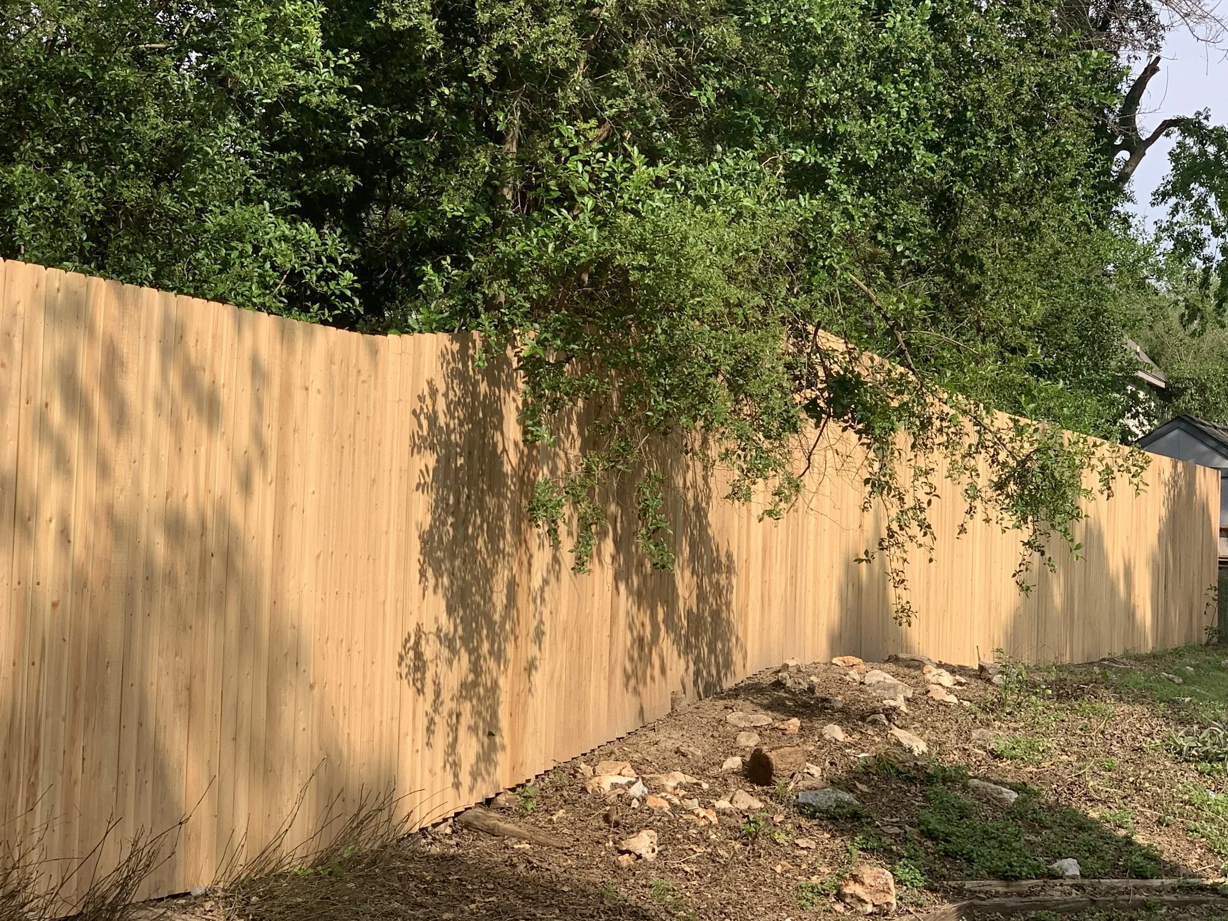 Residential Privacy Fence - Castell Ave.
