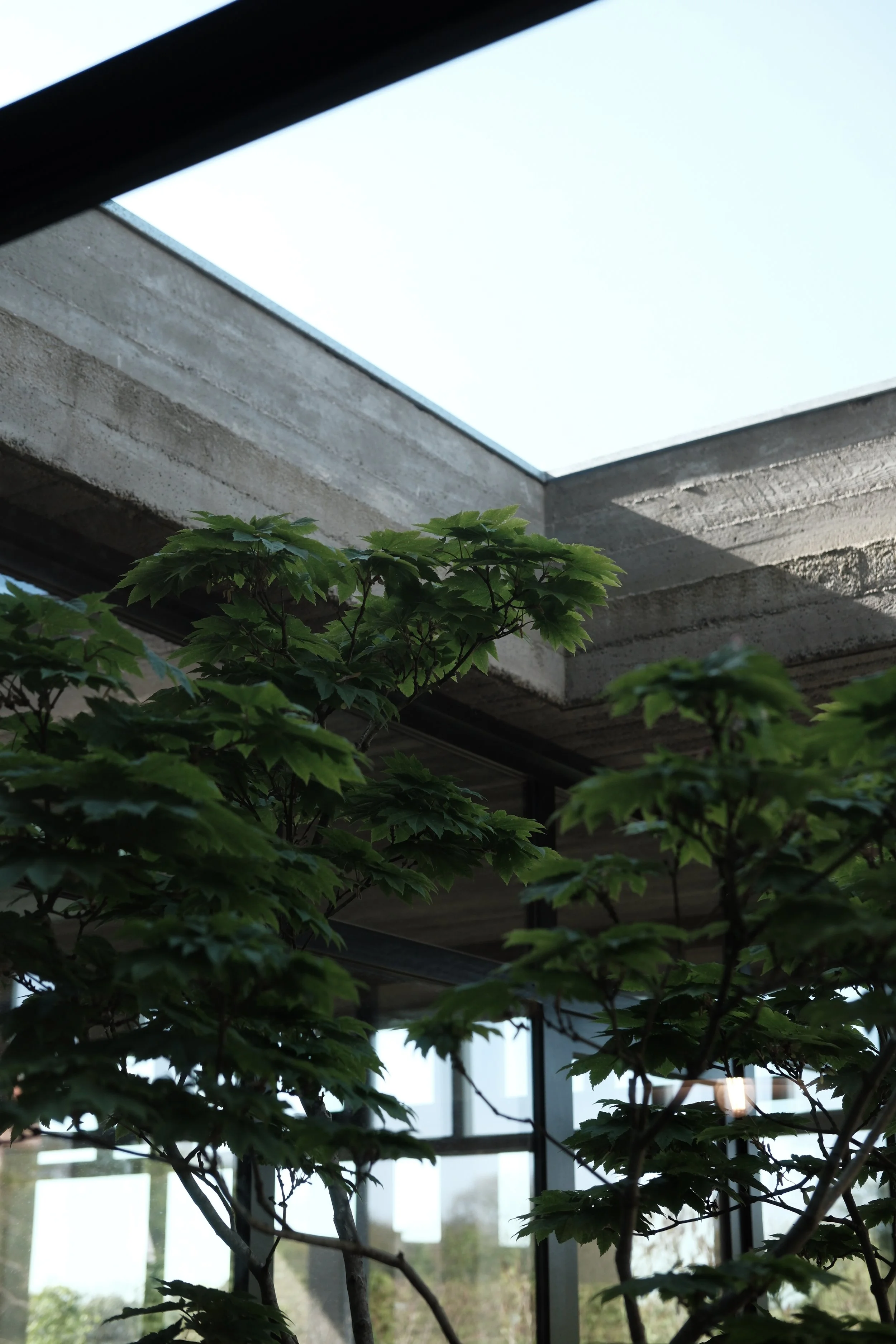 DSCF2363.JPG