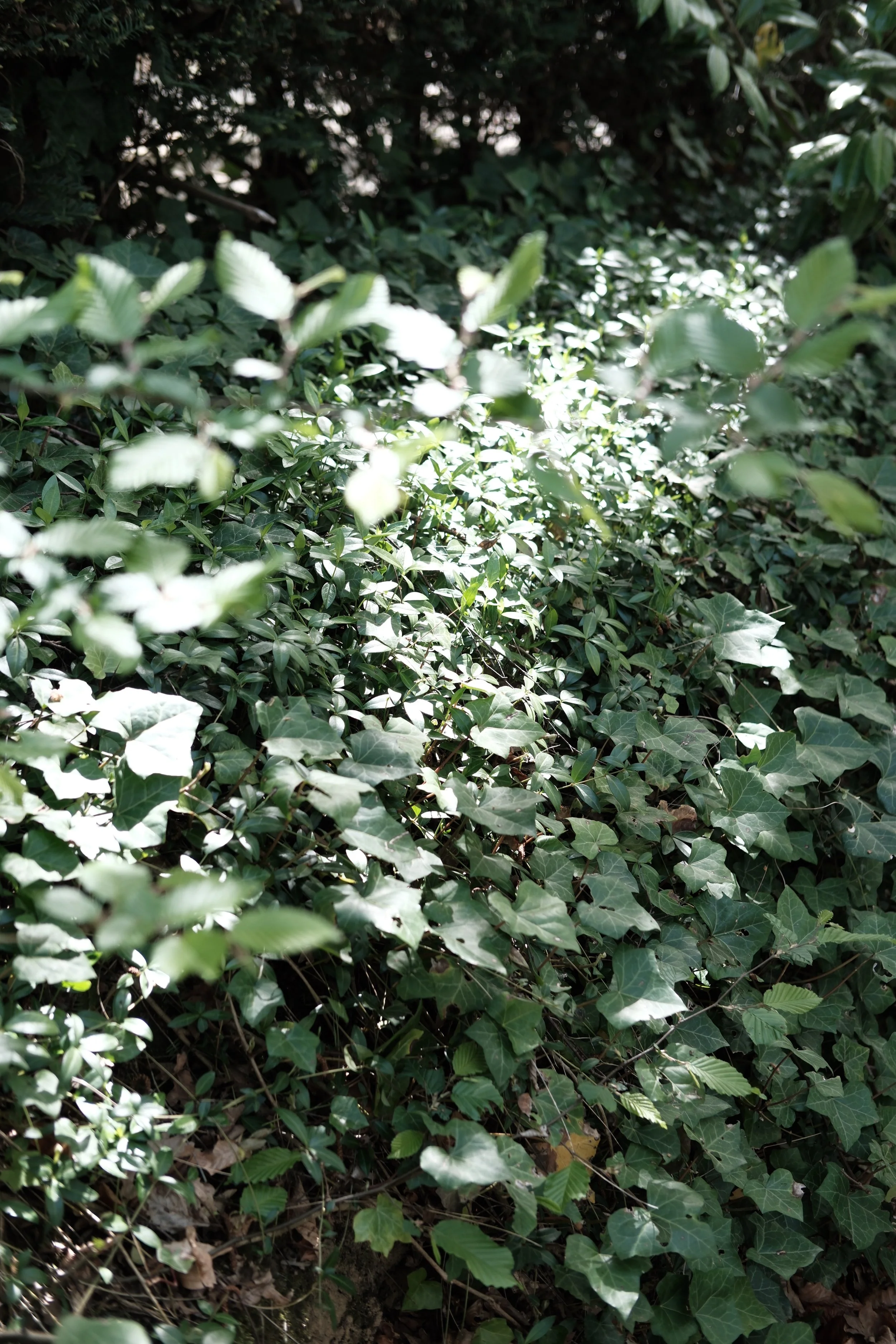 DSCF3062.JPG