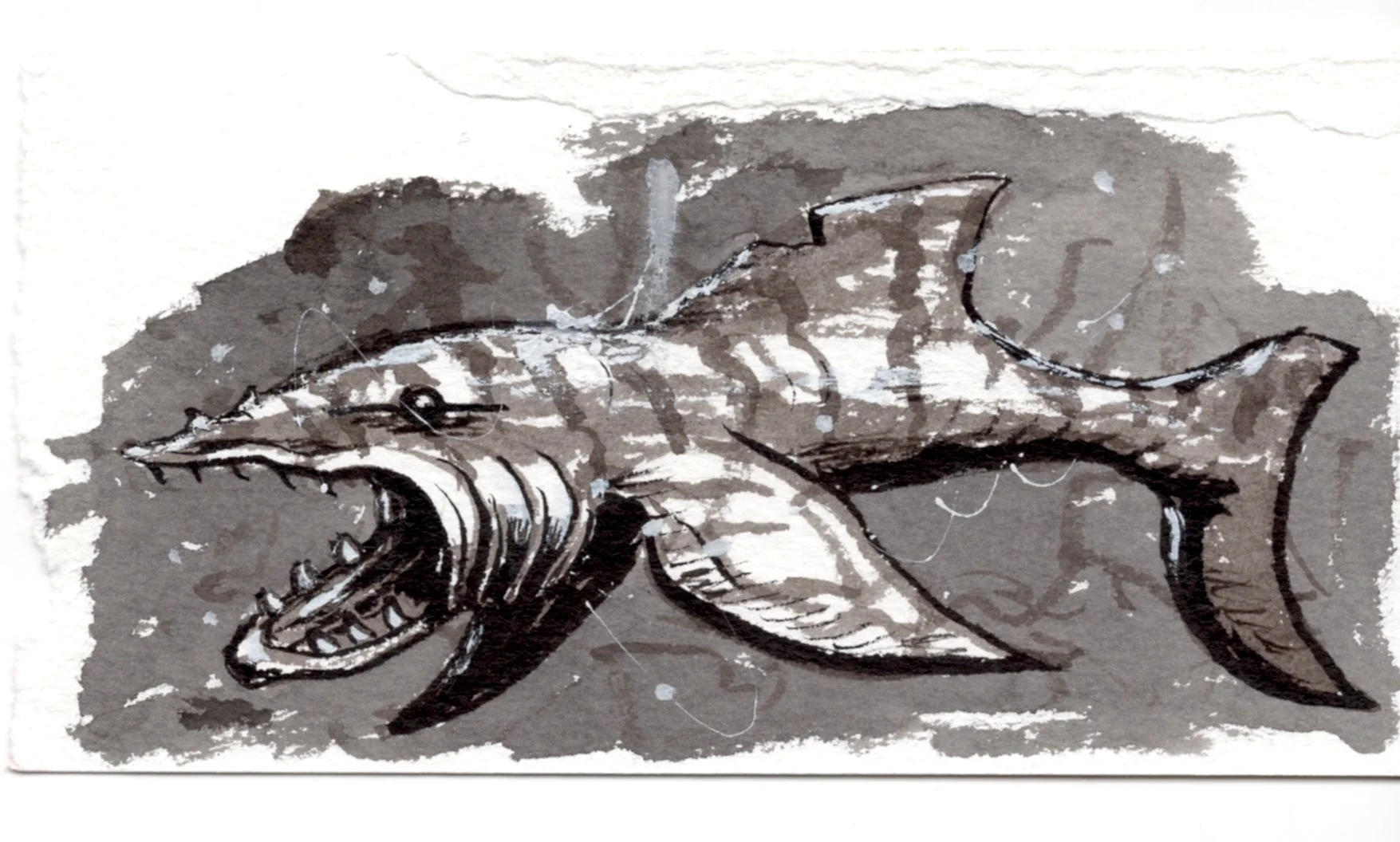 A shark for Luke. He loves anything with sharp teeth. 