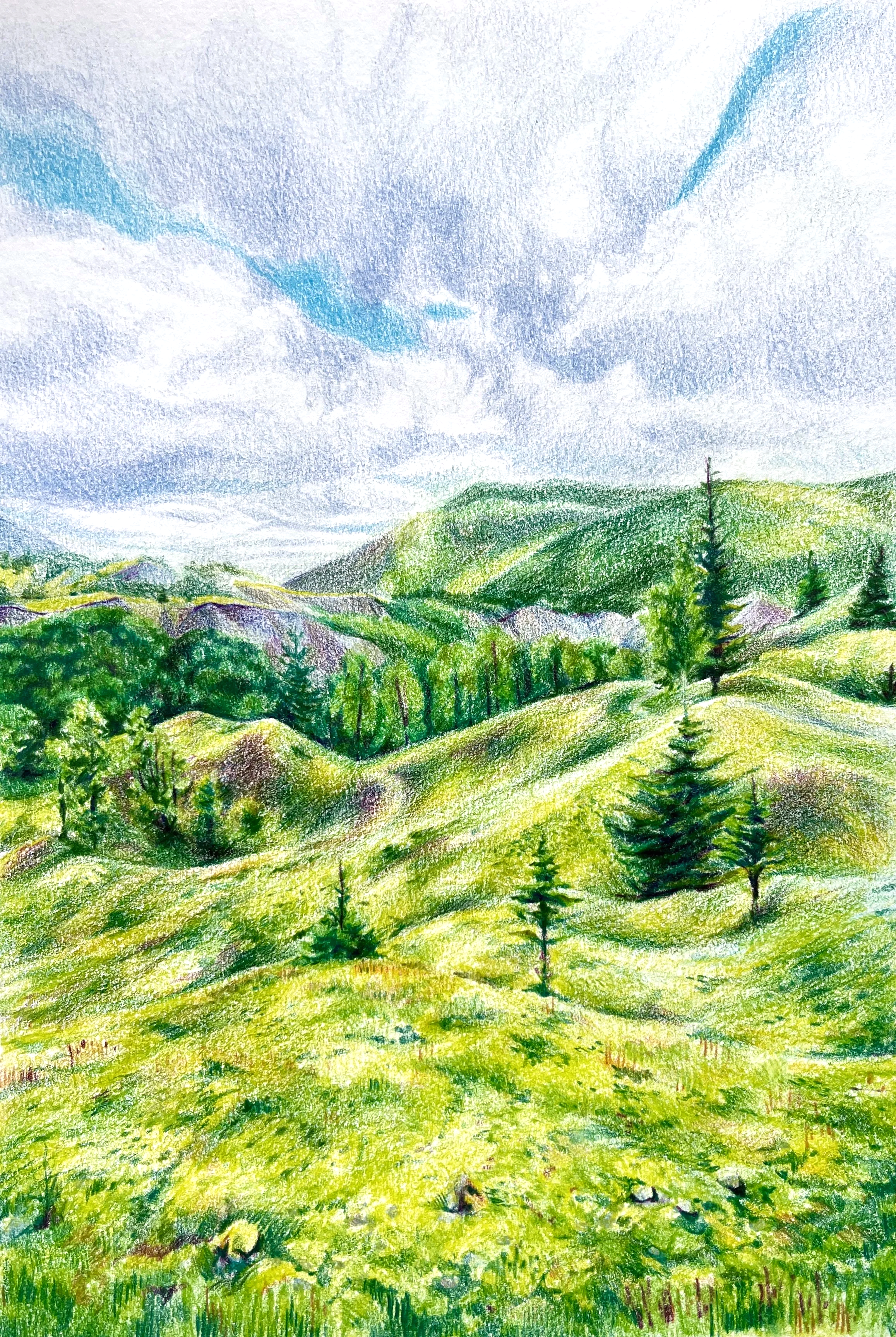 Hummocks, 12"x9", colored pencil