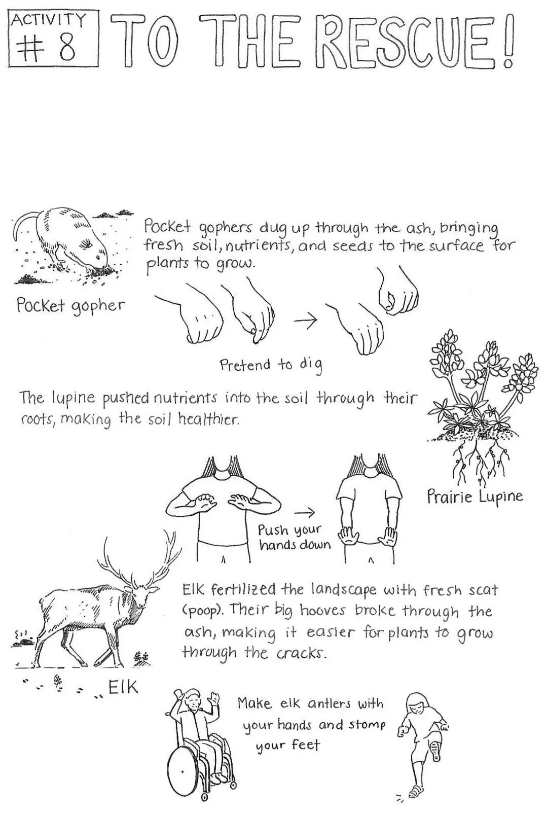 Junior Volcano Explorer page 11