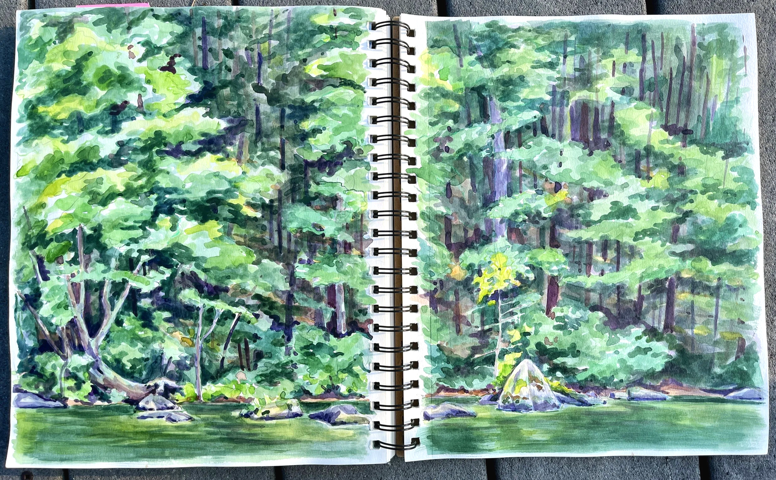 Untitled sketch, 12"x18", watercolor