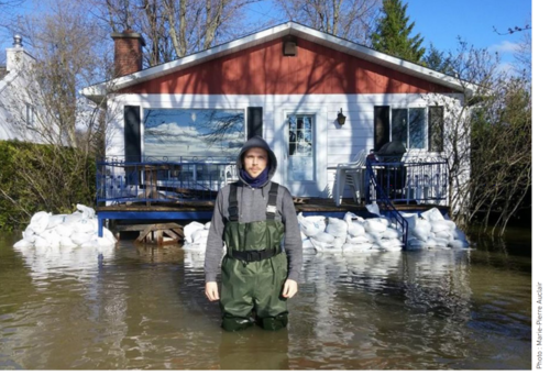 Assessing the role of natural environments in flood prevention
