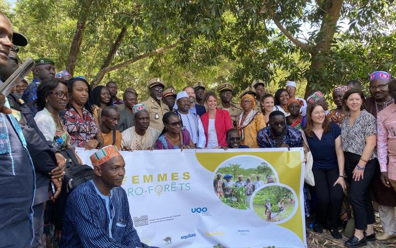 16 million for a climate change adaptation project in Guinea