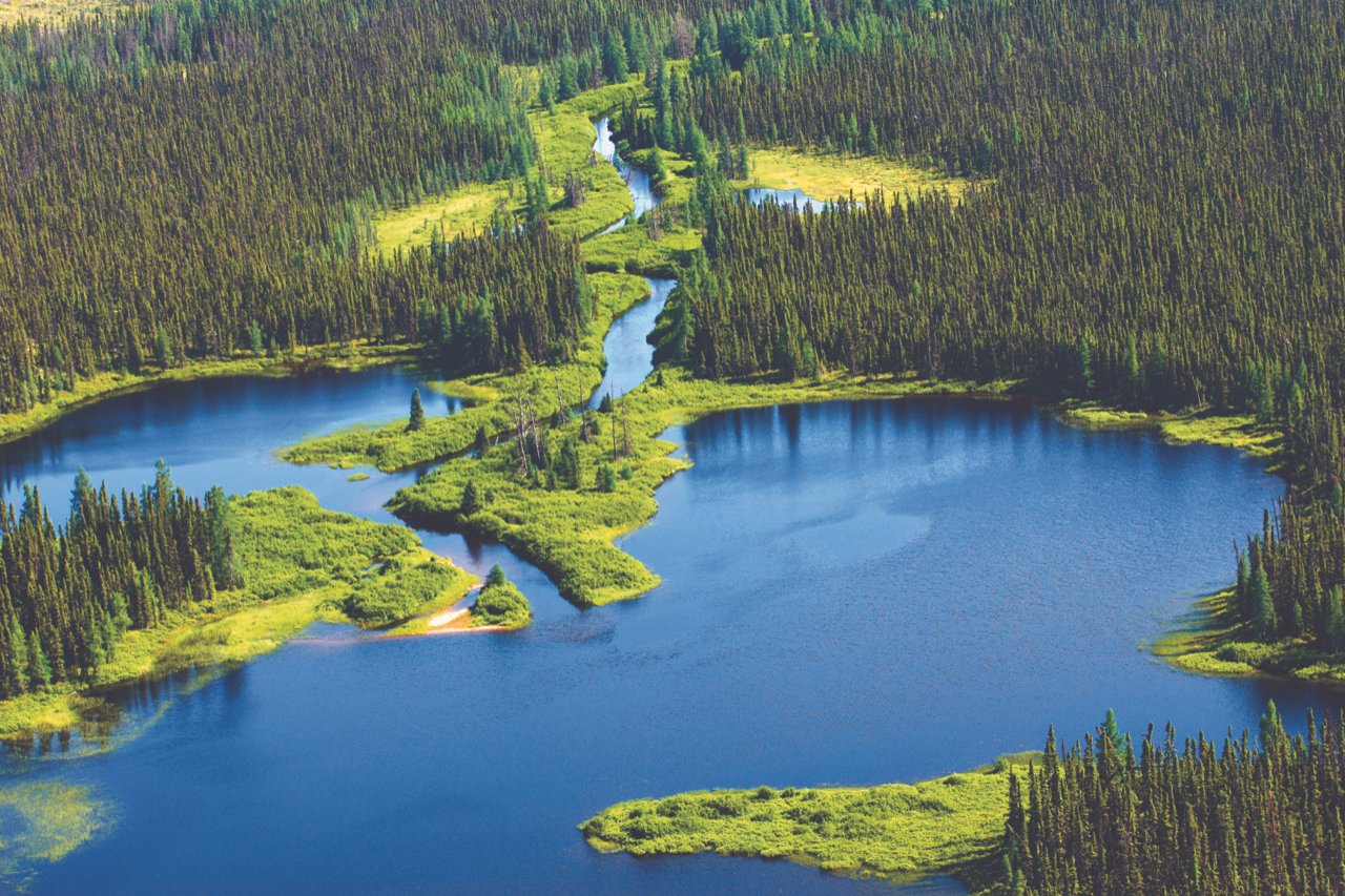 The natural environments of the Manicouagan-Uapishka Biosphere Reserve store nearly 297 billion tonnes of CO2 equivalent.