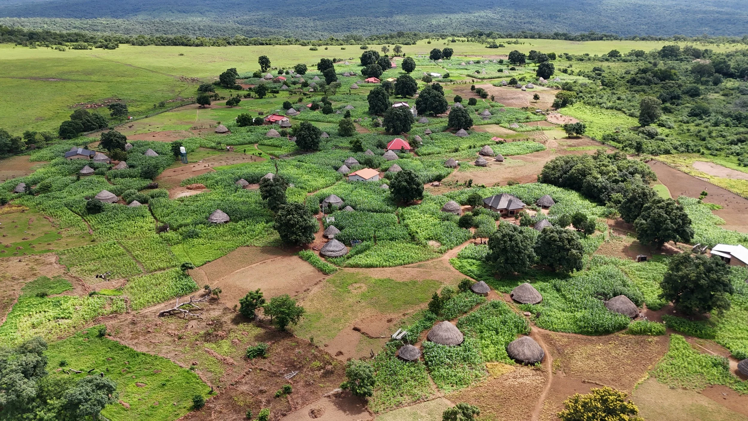 dji_fly_20250717_104816_0151_1752832453370_photo.jpg