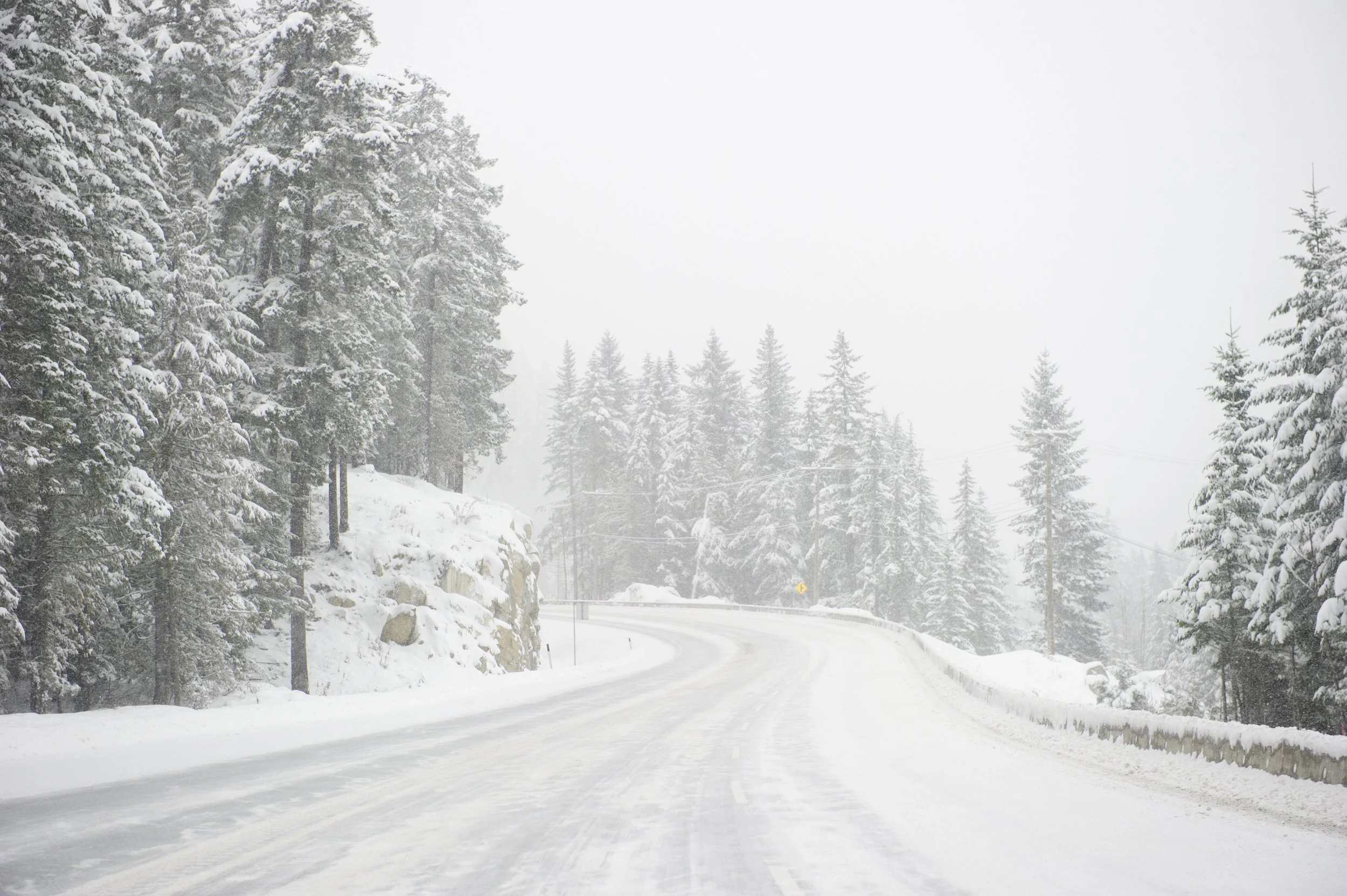 Actifs naturels et gestion municipale : une opportunité stratégique pour les MRC et les villes