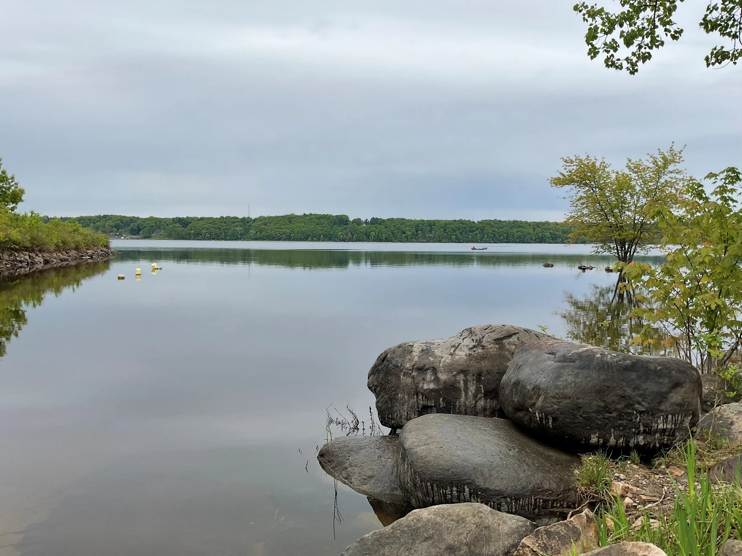 Plan de conservation des milieux naturels pour la ville d’Hudson : un levier concret pour la biodiversité et la qualité de vie 
