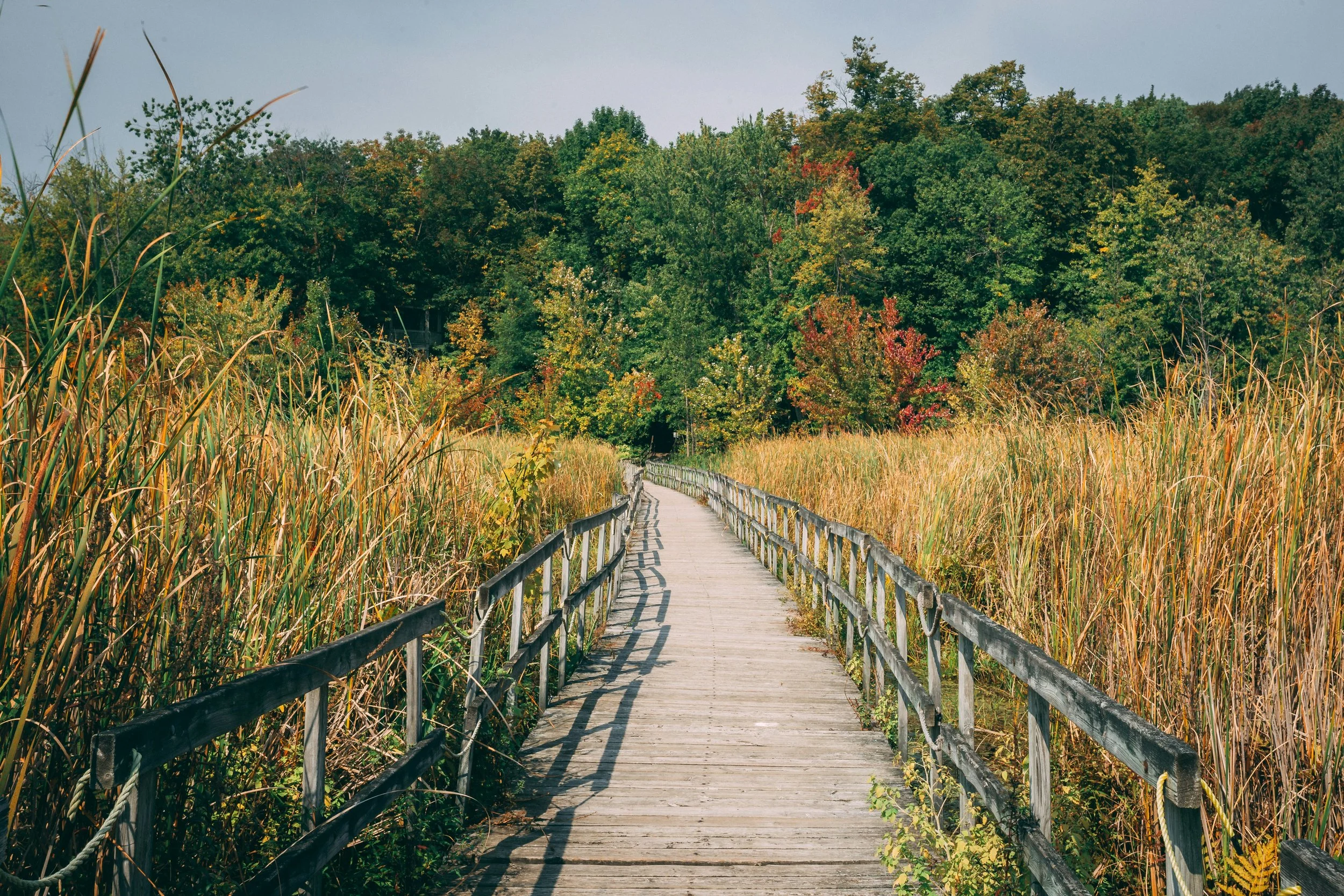 Schémas d’aménagement, plans climat et biodiversité : transformer les obligations gouvernementales en opportunités pour les municipalités et les MRC