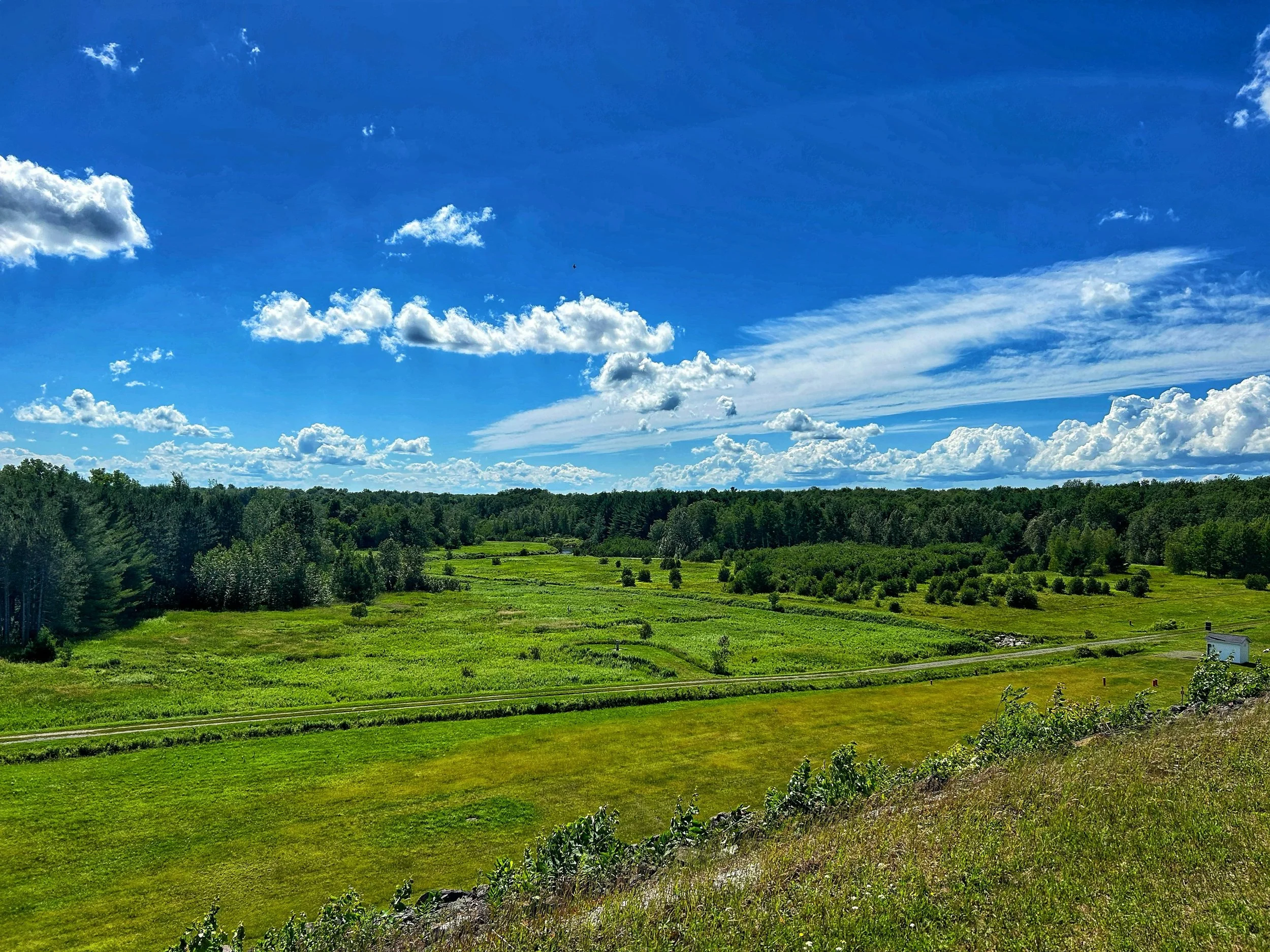 Nicolet-Yamaska RCM: Integrating Biodiversity and Ecosystem Services into Land Use Planning