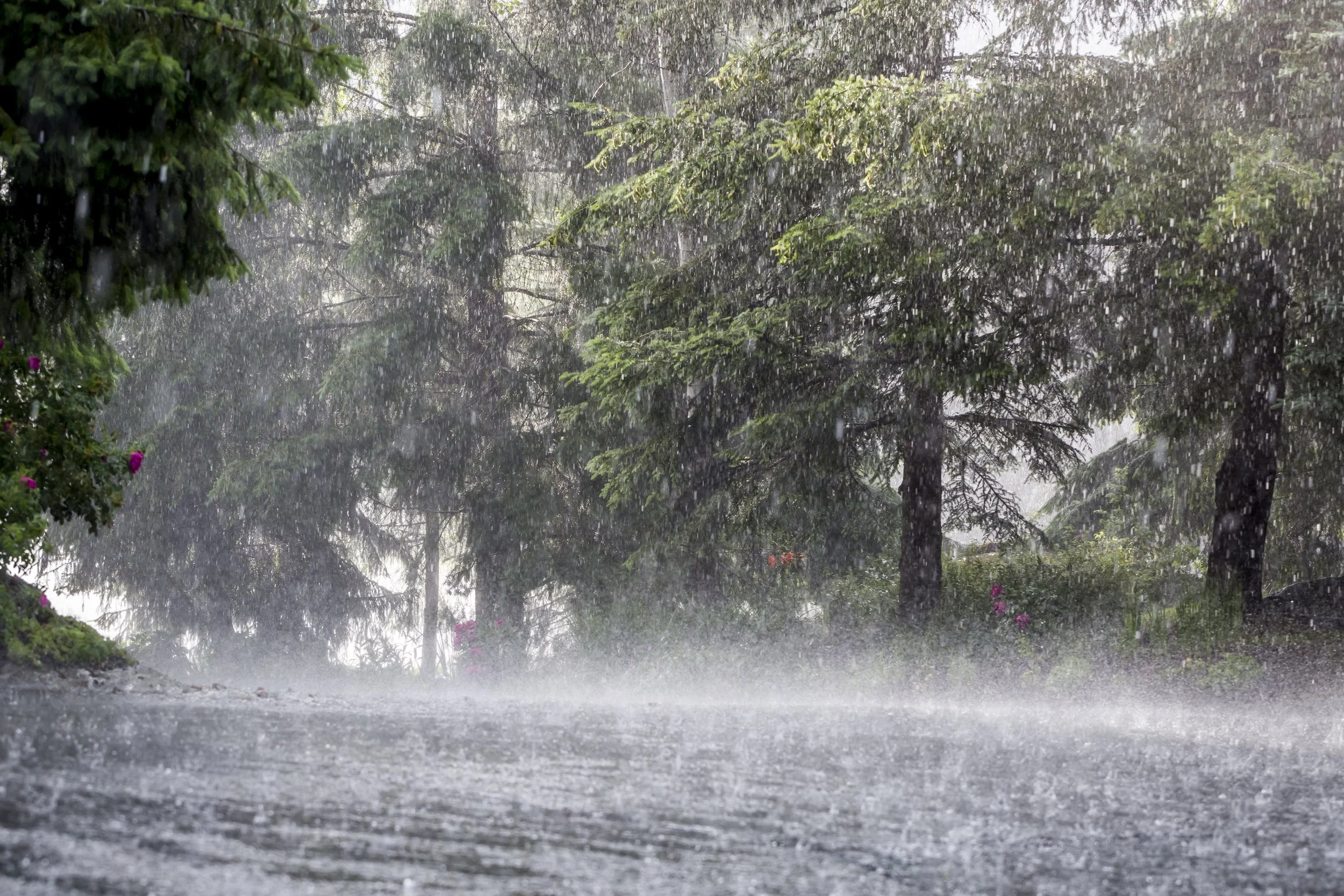A Customized Assessment: The Case of the Lac-Saint-Jean-Est RCM Climate Plan