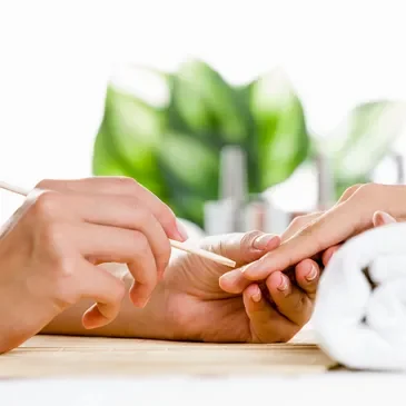 Indulge Elk Rapids Day Spa