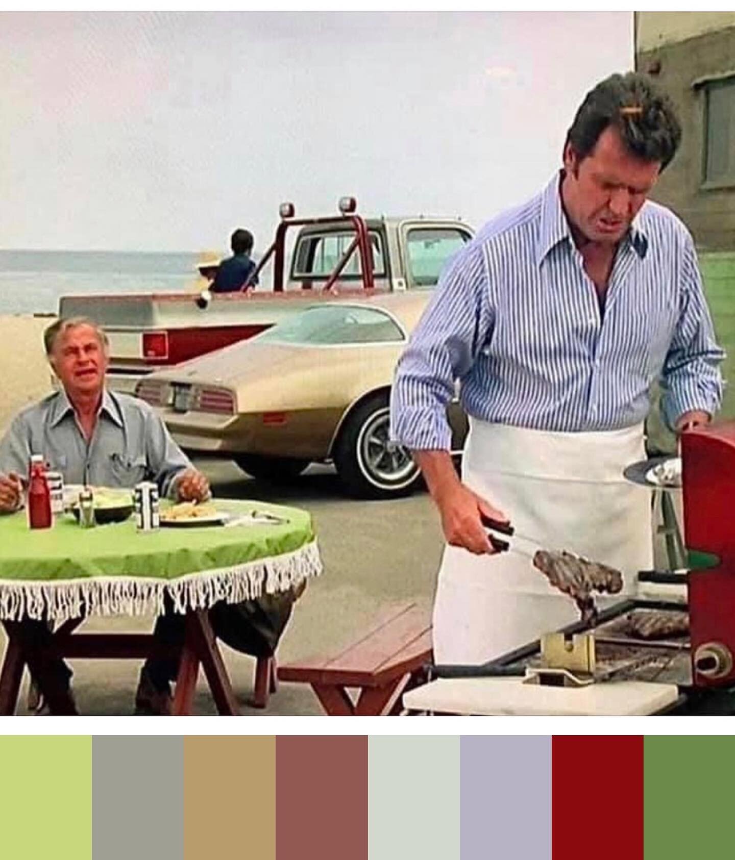 When I was young I thought James Rockford and his style of living was the epitome of a life well lived. Looking at this photo it seems I was right.
#artdirector  #livingwell  #vintagedesign  #rockfordfiles  #colorpalette #vintagecolorpalette