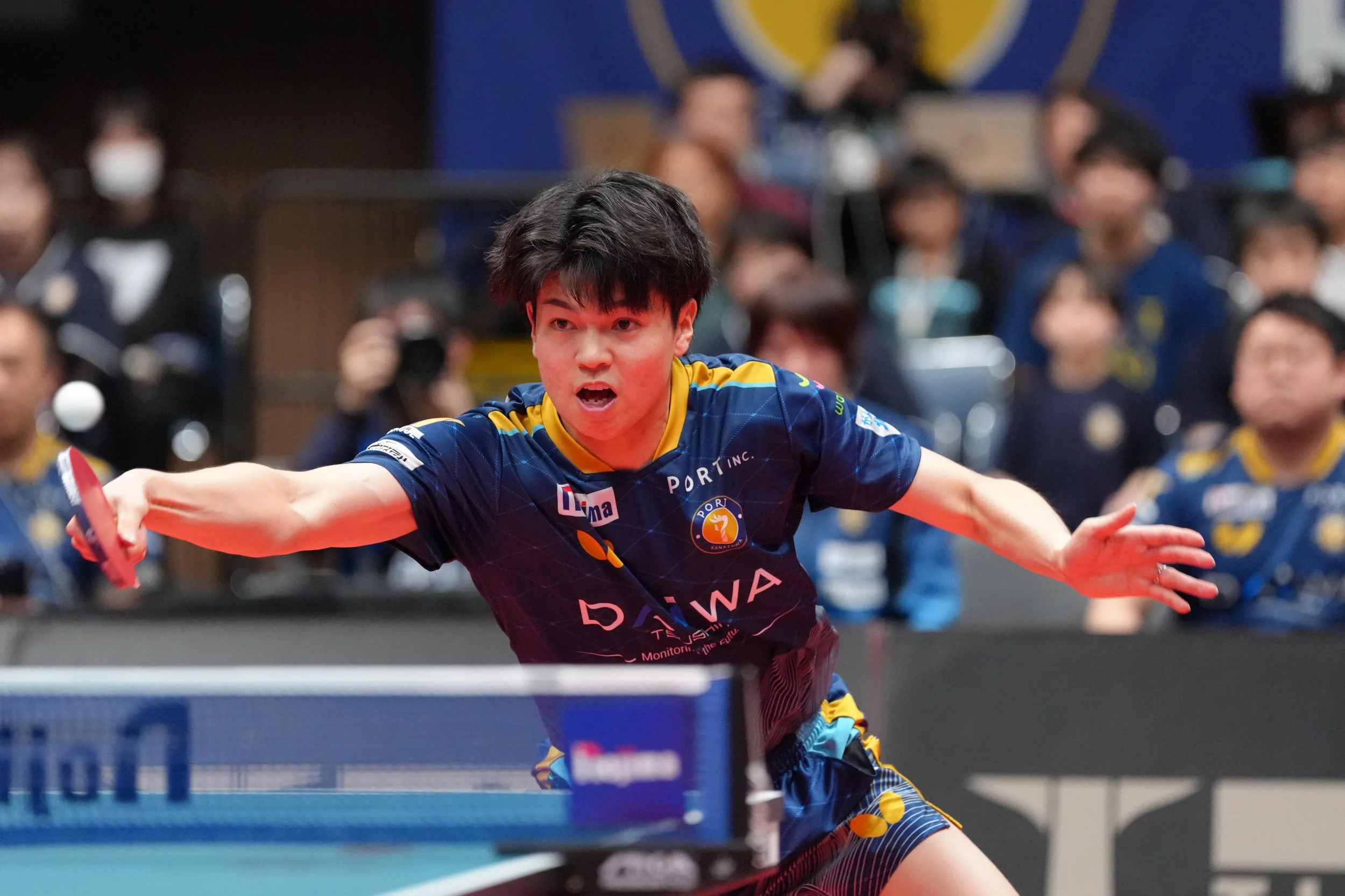 田中佑汰