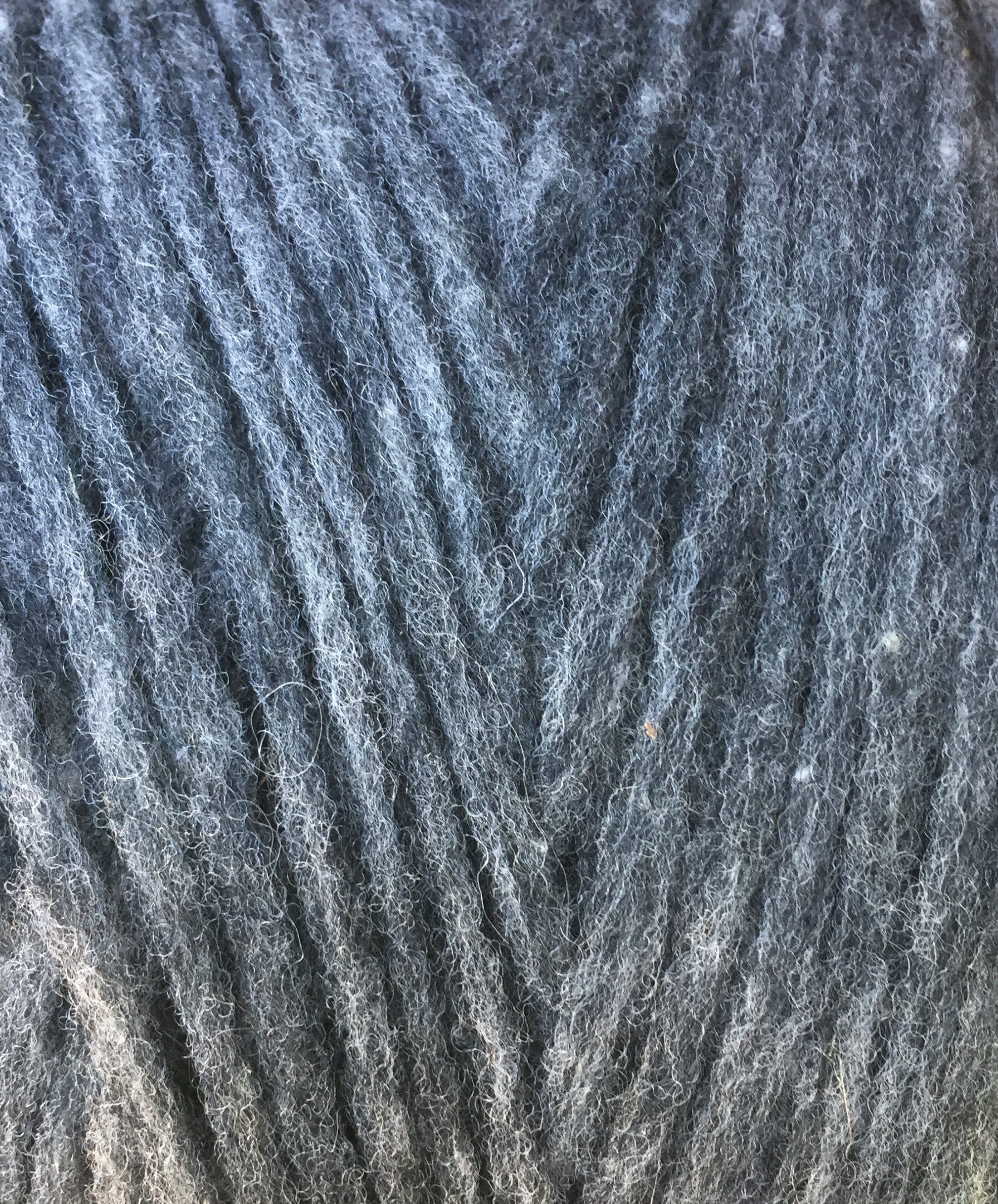 D2C9363D-6A8D-4F92-9750-0A3EA603F31E_1_201_a.jpeg