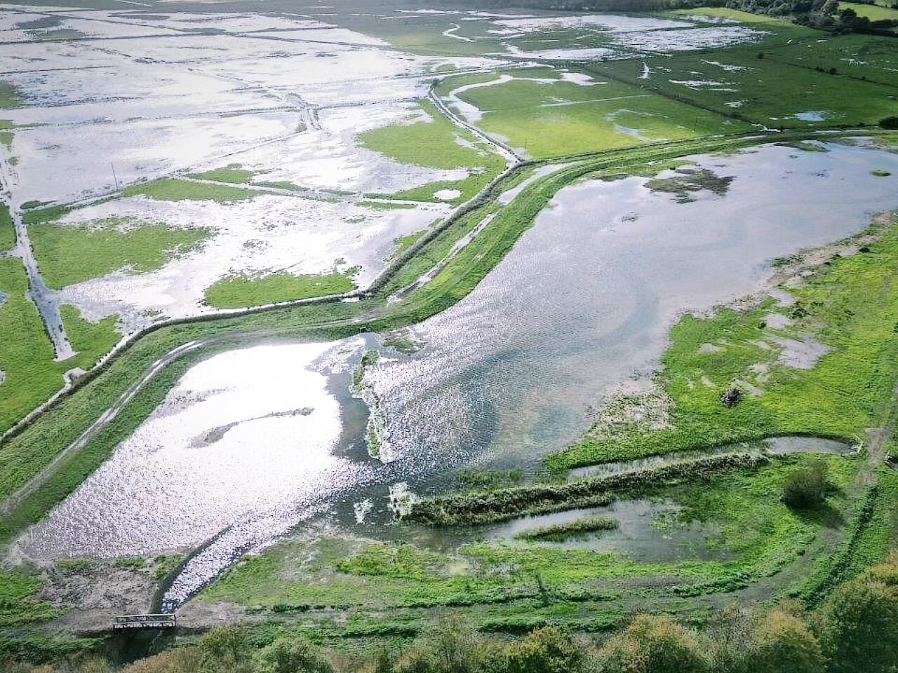 It's certainly wet on the Lewes Brooks. The site is holding back water that would otherwise be flowing into the Ouse River.
Wonder how it's going to look after storm Ciaron.