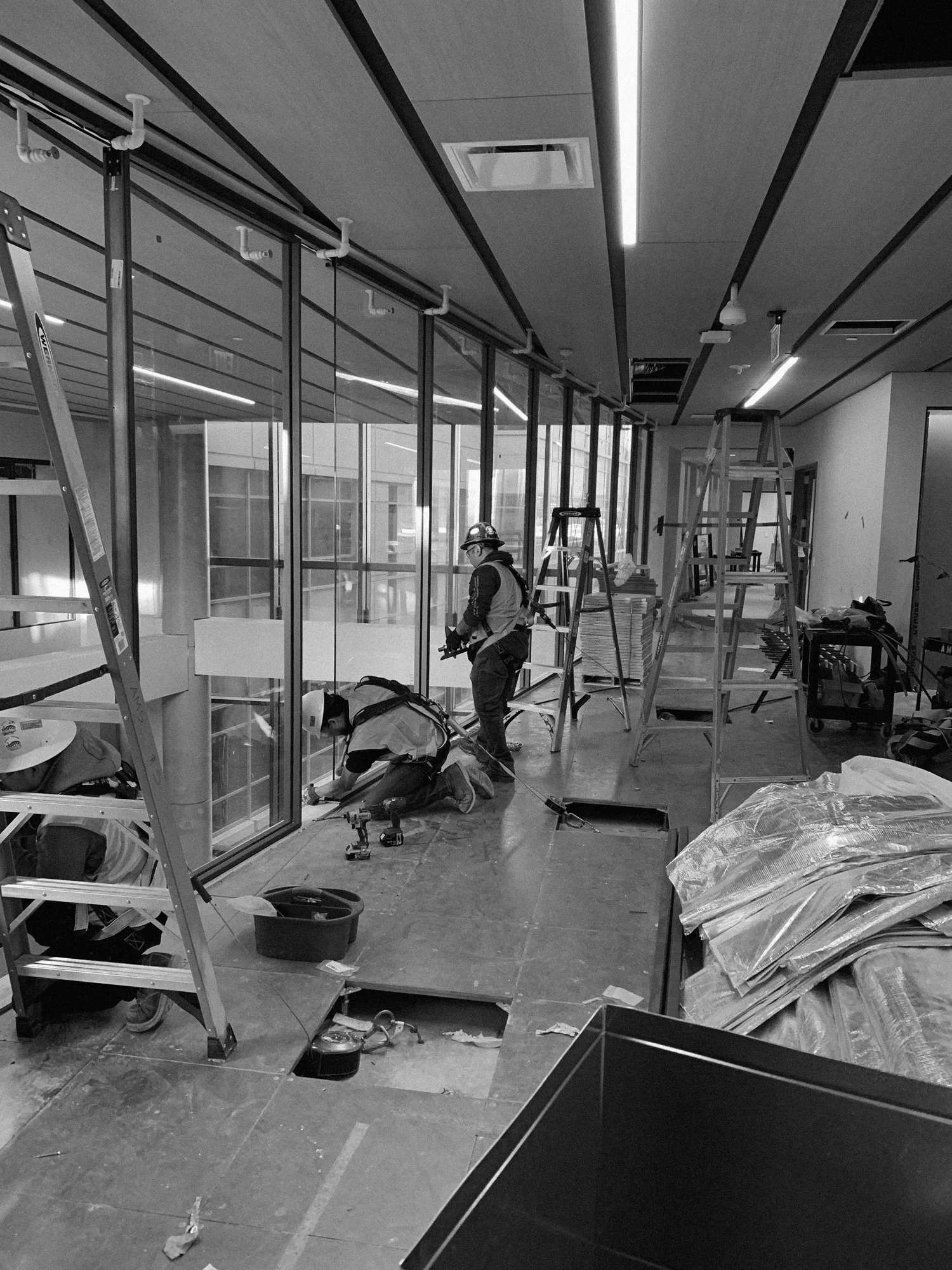 A Vast Glass Wall Install for a Biotech Headquarters — AllModular - Axis Glass Wall Maintenance