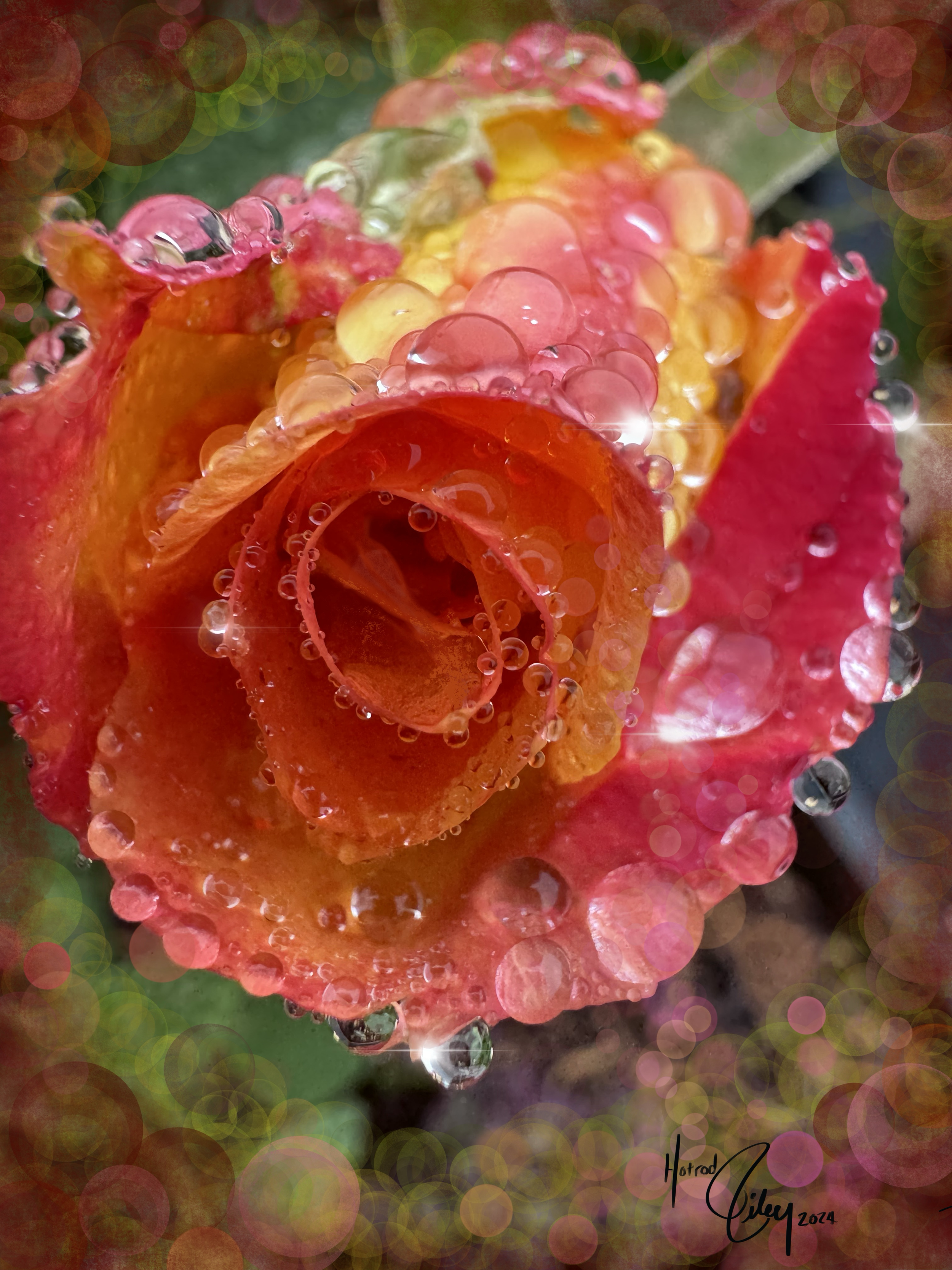 IMG_0158.PNG