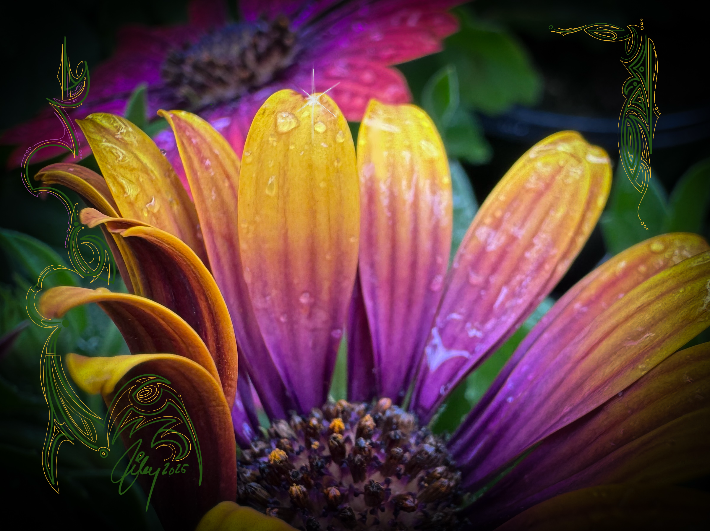 IMG_0636.PNG