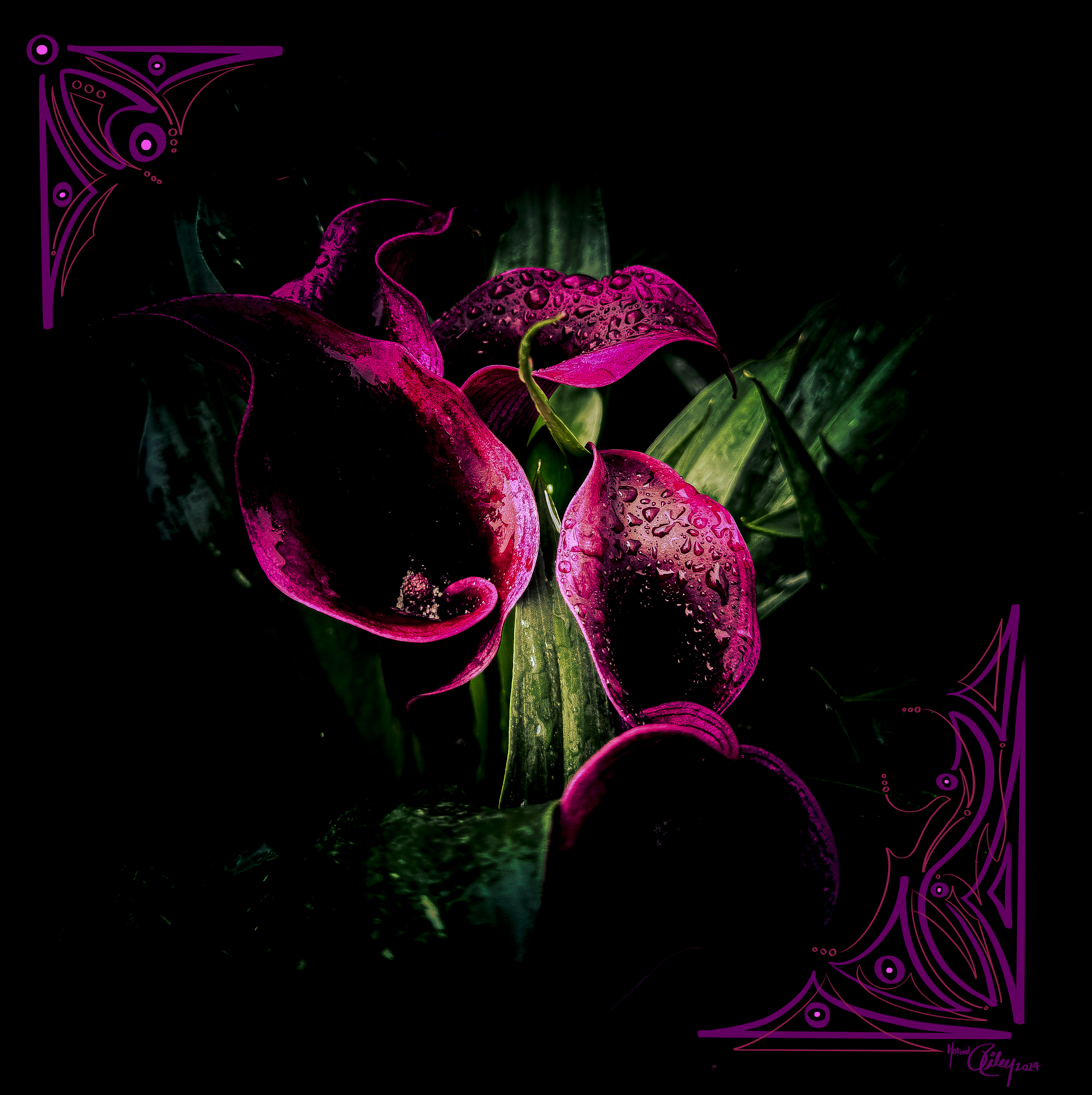 IMG_0128.PNG