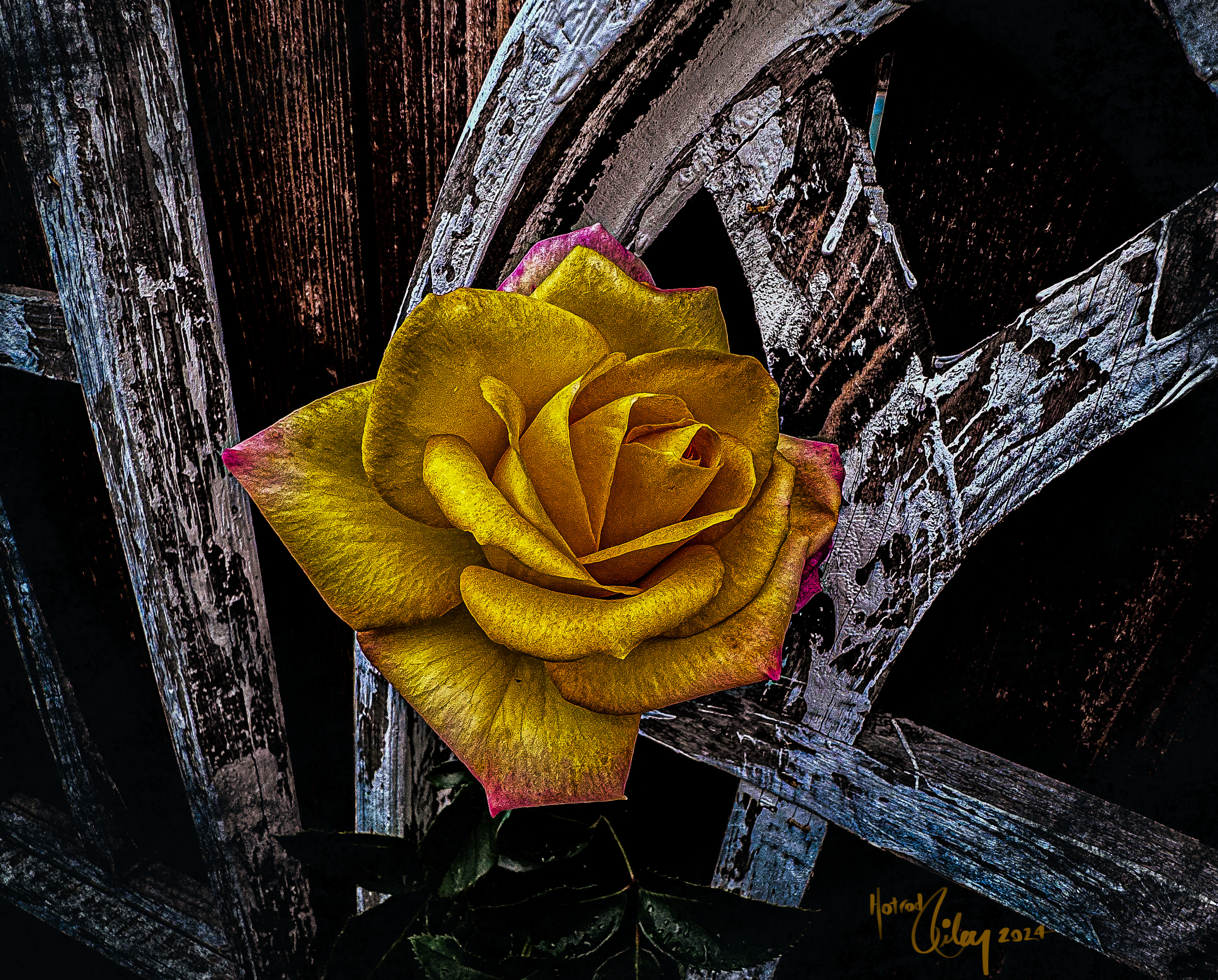 IMG_0214.PNG