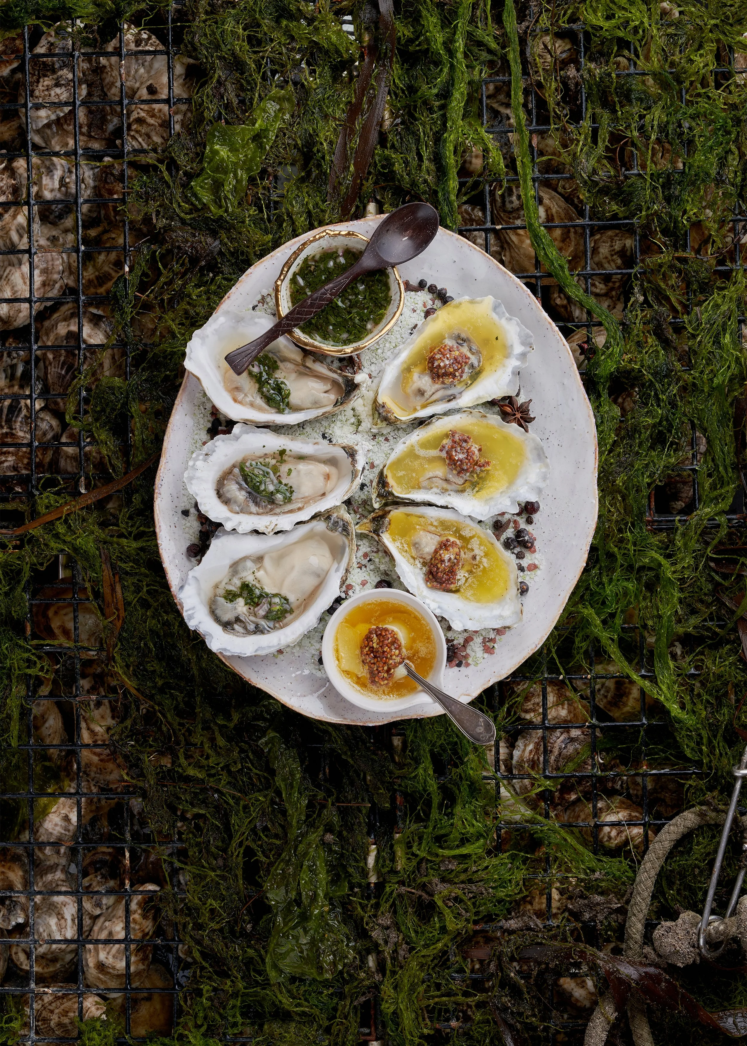 A plate of six oysters served with herbs and sauces, placed on a bed of seaweed and shells.