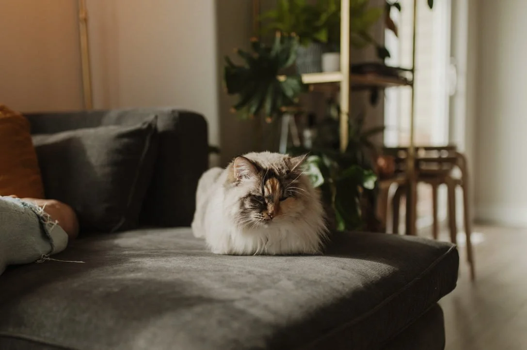 Alaska Adotpion Services Waiting Families16.jpeg