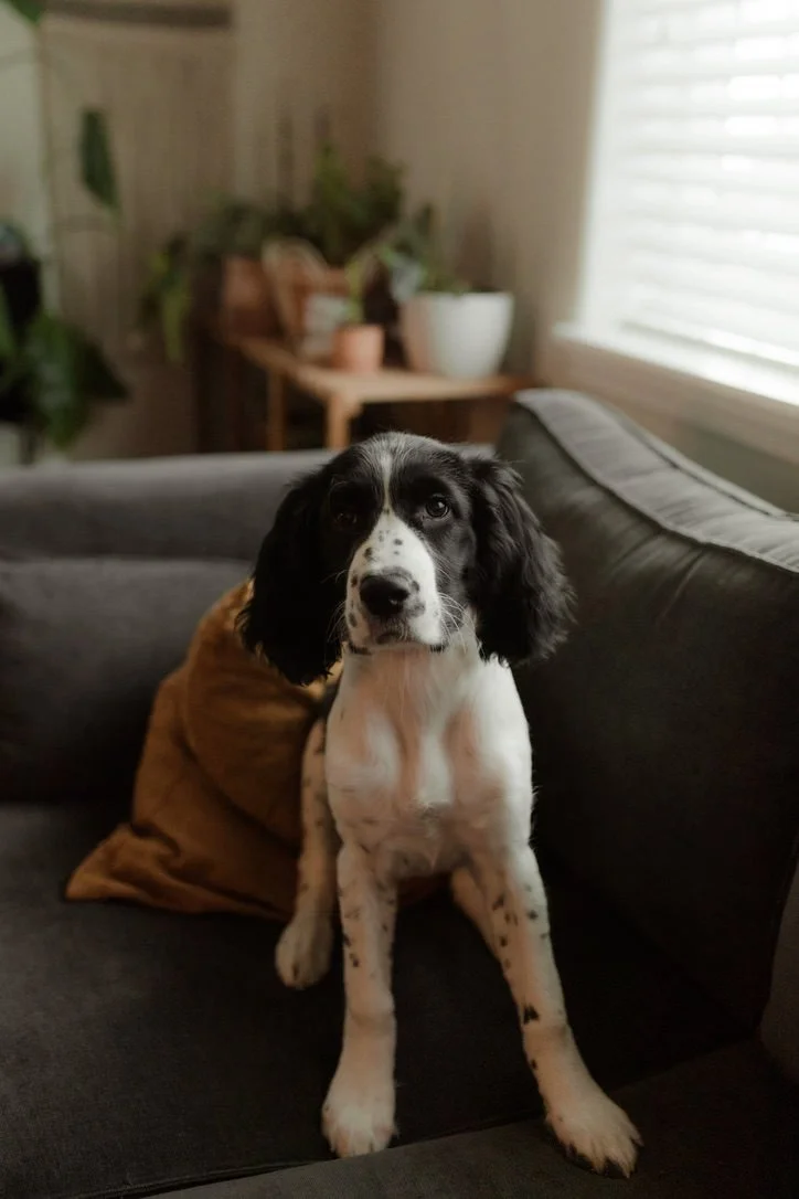 Alaska Adotpion Services Waiting Families14.jpeg