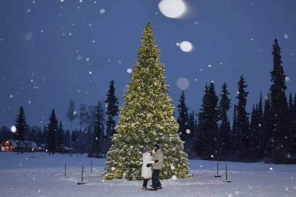 Alaska Adoption Services Waitilng Families2.JPG