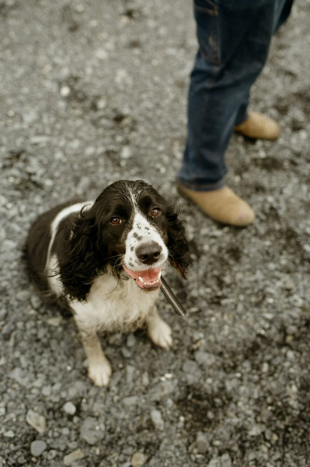Alaska Adoption Services Waiting Families14.jpeg
