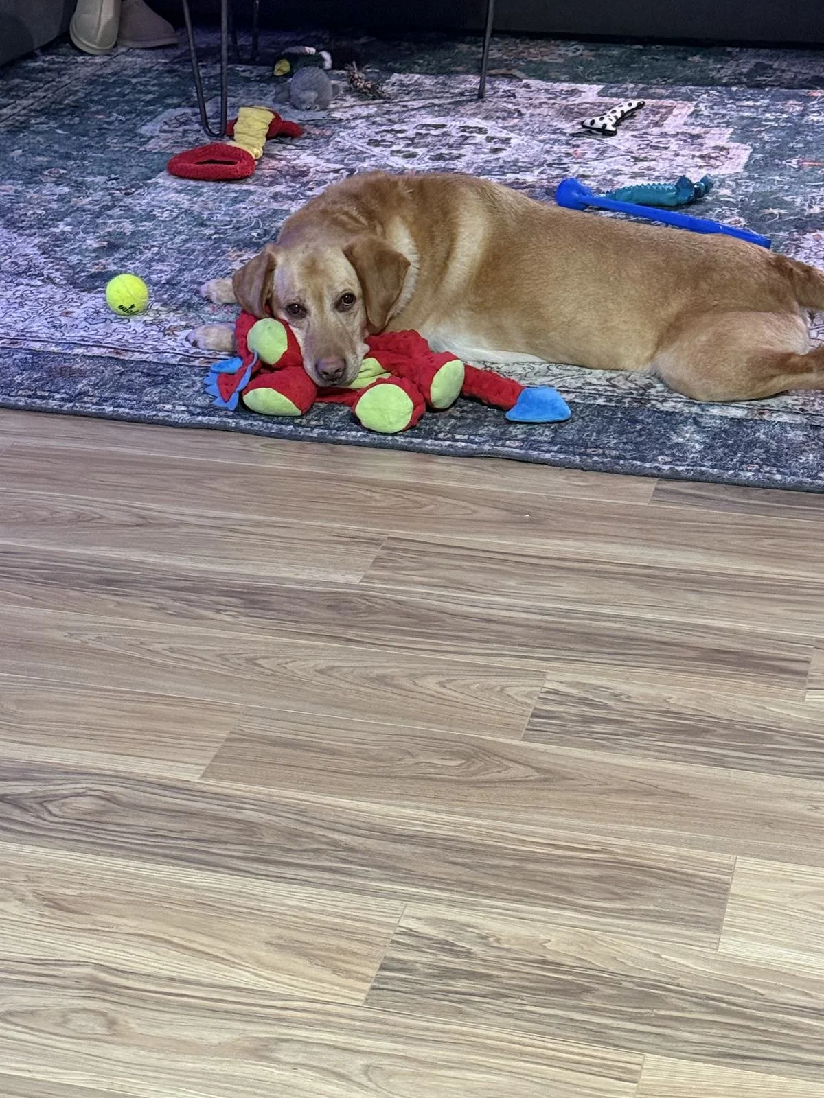 Alaska Adoption Services Waiting Families6.jpeg