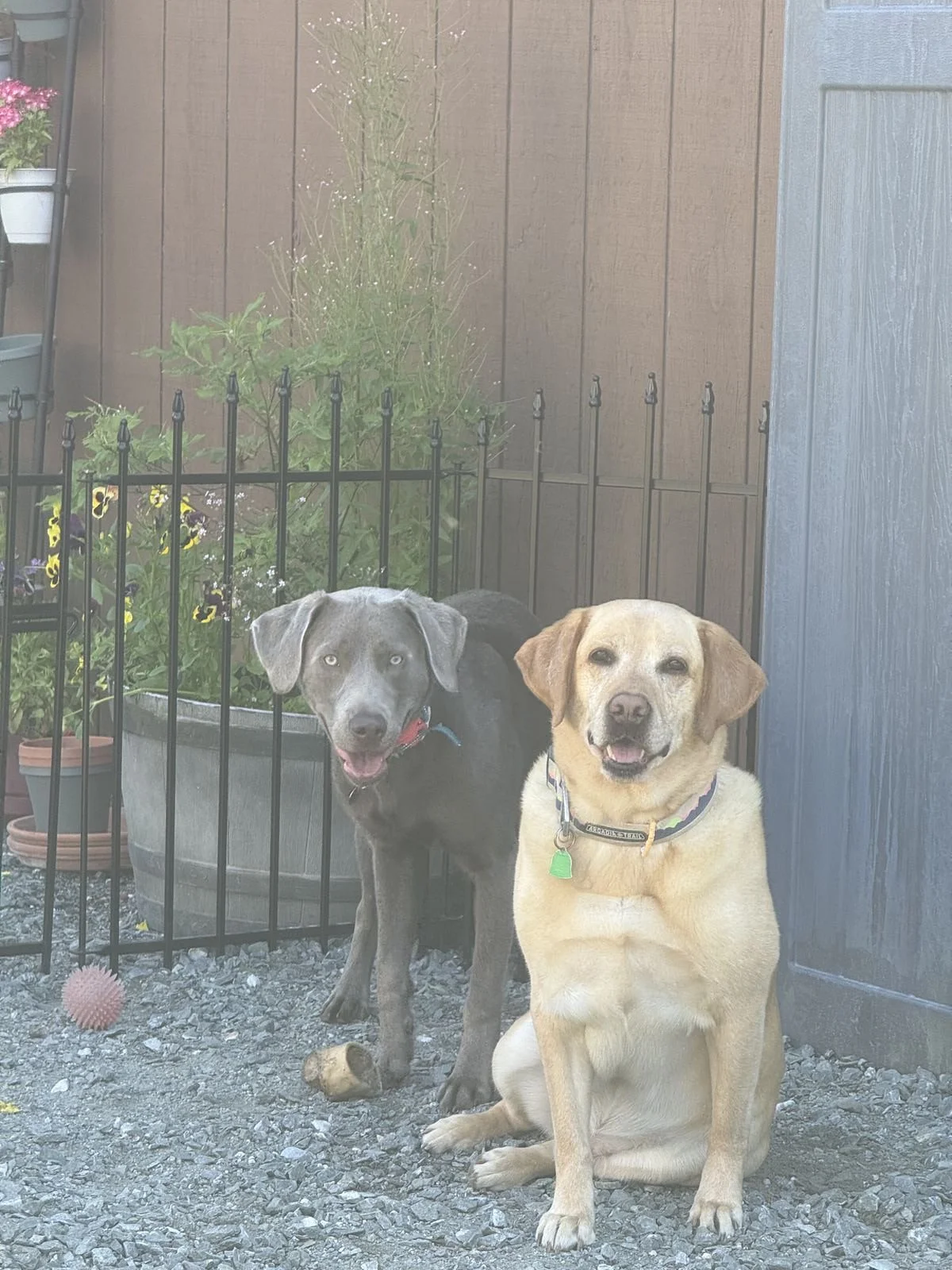 Alaska Adoption Services Waiting Families10.jpeg